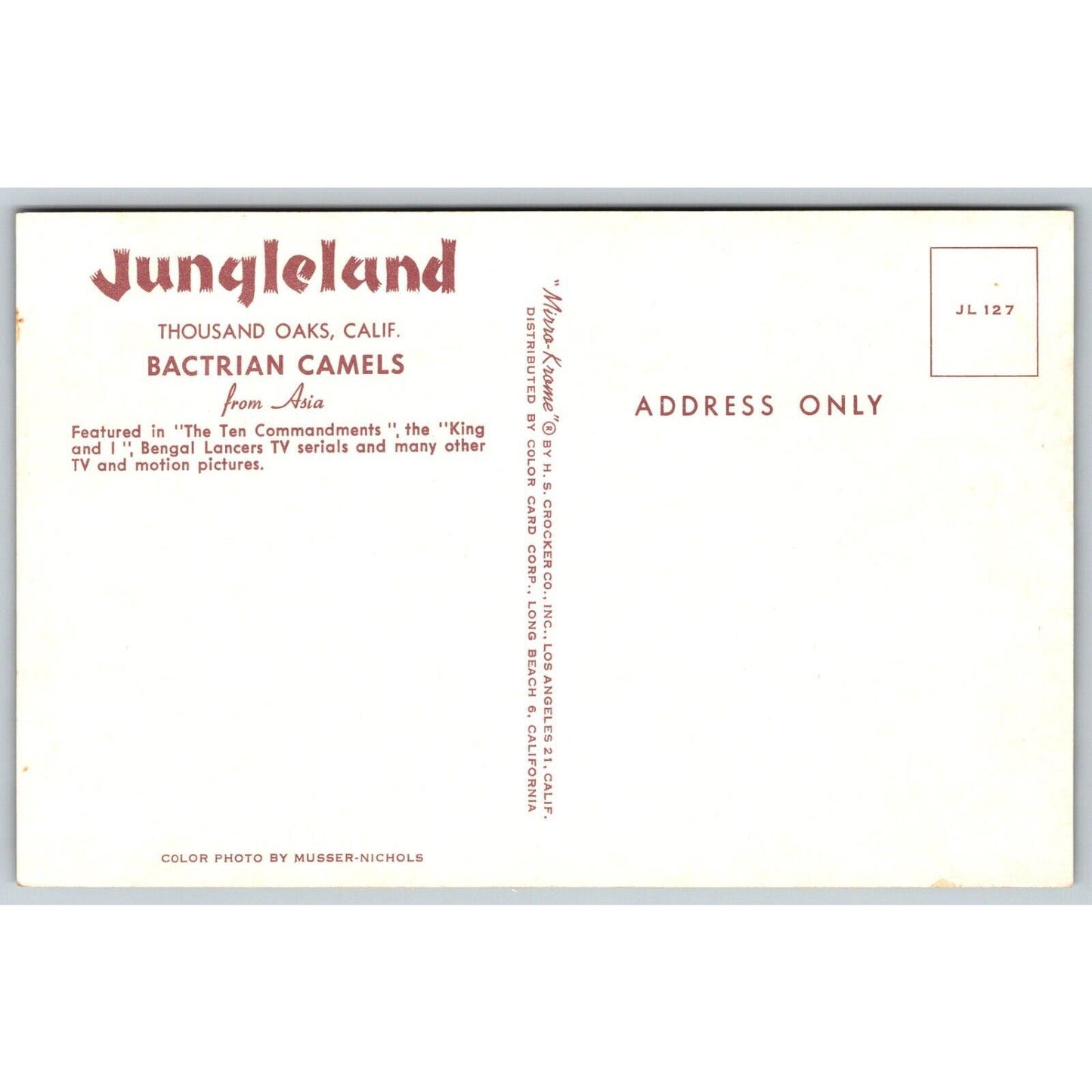 Jungleland Thousand Oaks, CA Bactrian Camels Movie / TV Postcard NP c1950's