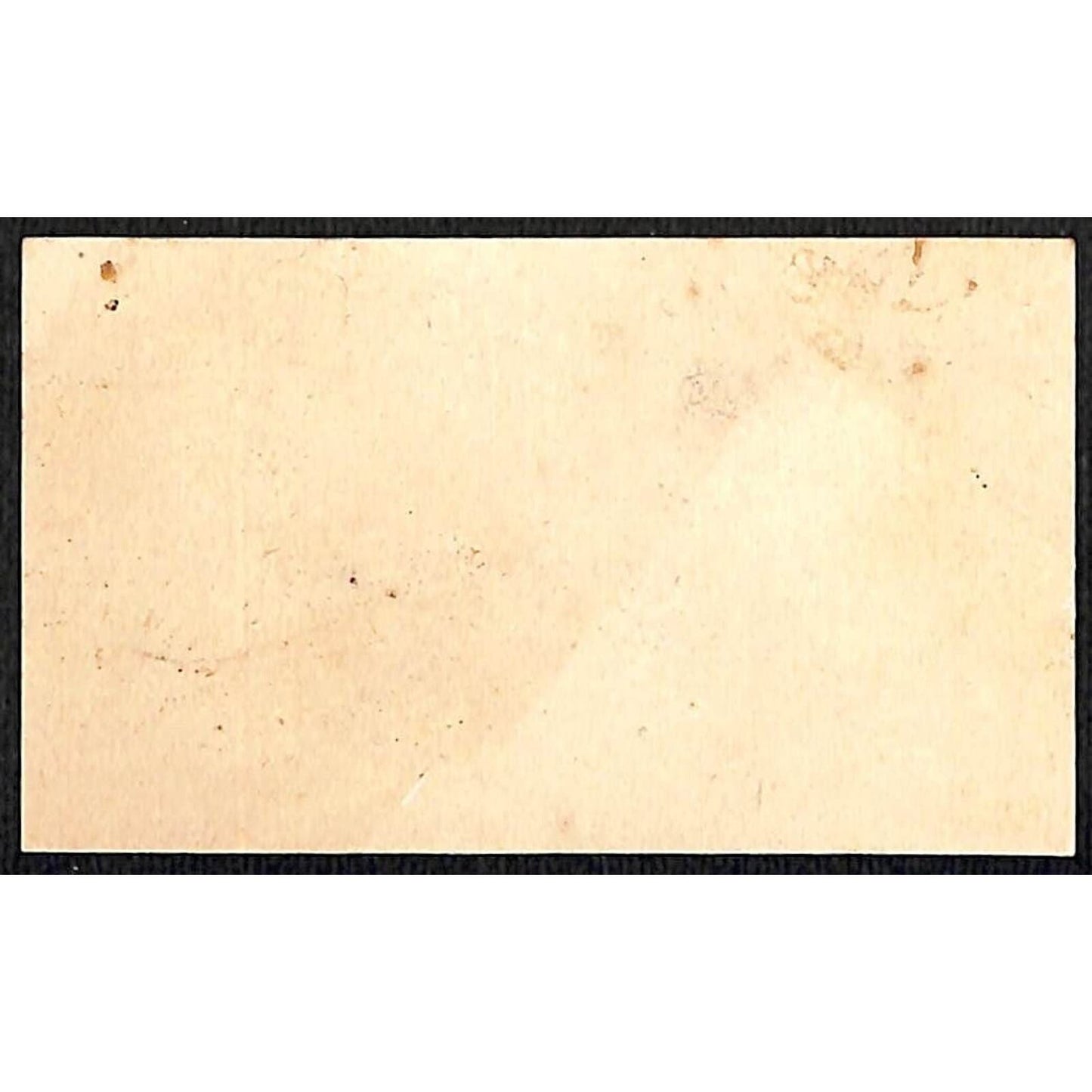 Easton, PA Thos. Daily "The Hatter" Victorian Trade Card Roses VGC