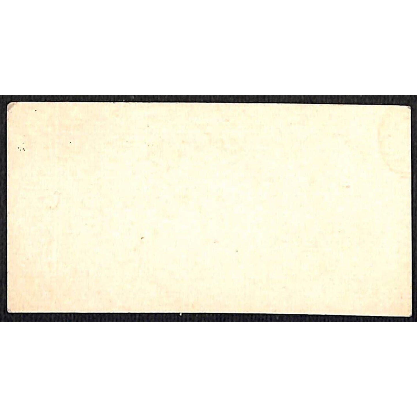 "Thomas Cowley" Victorian Calling Greeting Card - Floral