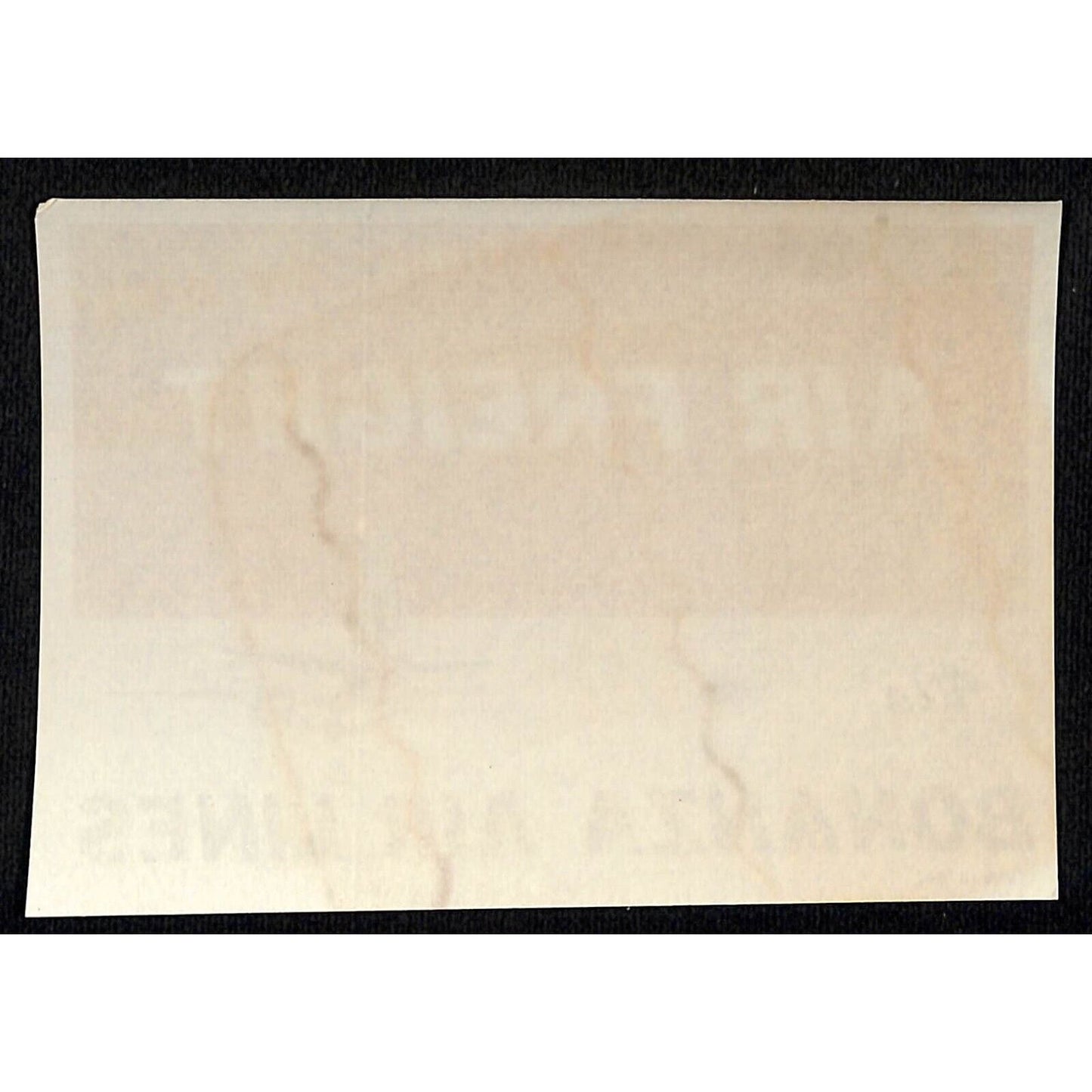 Bonanza Air Lines Airfreight Label Ungummed 3 1/2" x 5" c1964-66