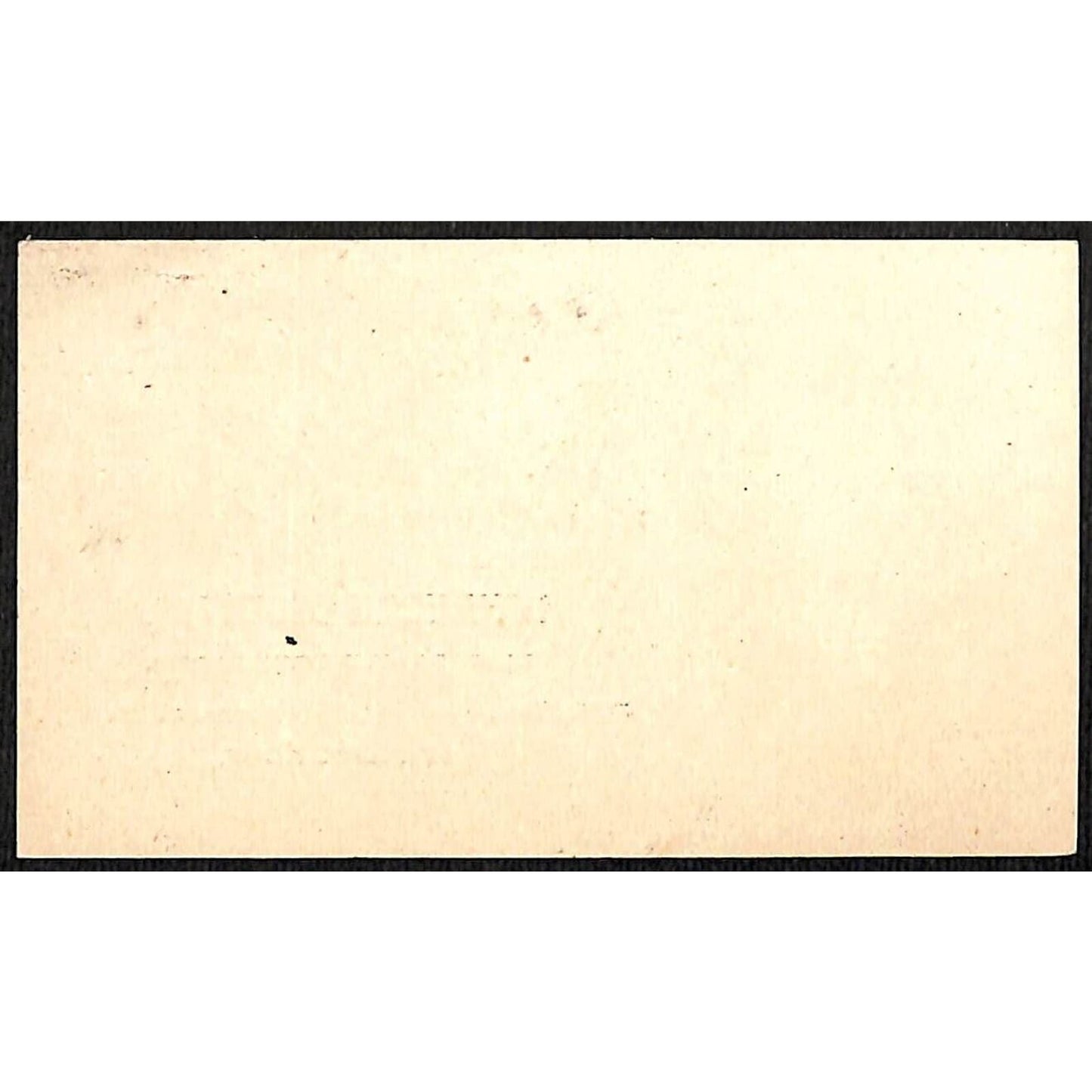 New York Observer Newspaper 37 Park Row NYC Victorian Trade Card VGC Scarce