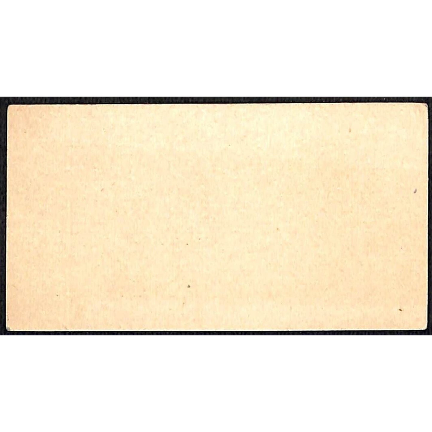 "William Rainous" Victorian Calling Greeting Card - Floral