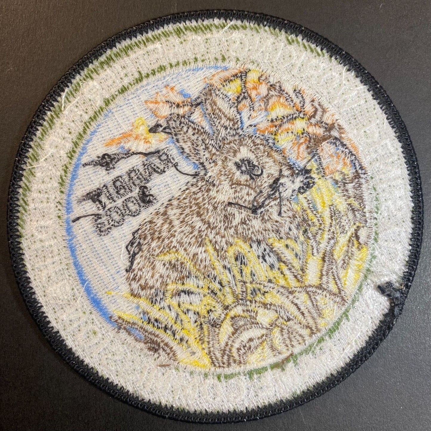 PA Game Commission Screech Owl 2003 Wildlife Embroidered Patch 4" NOS VGC