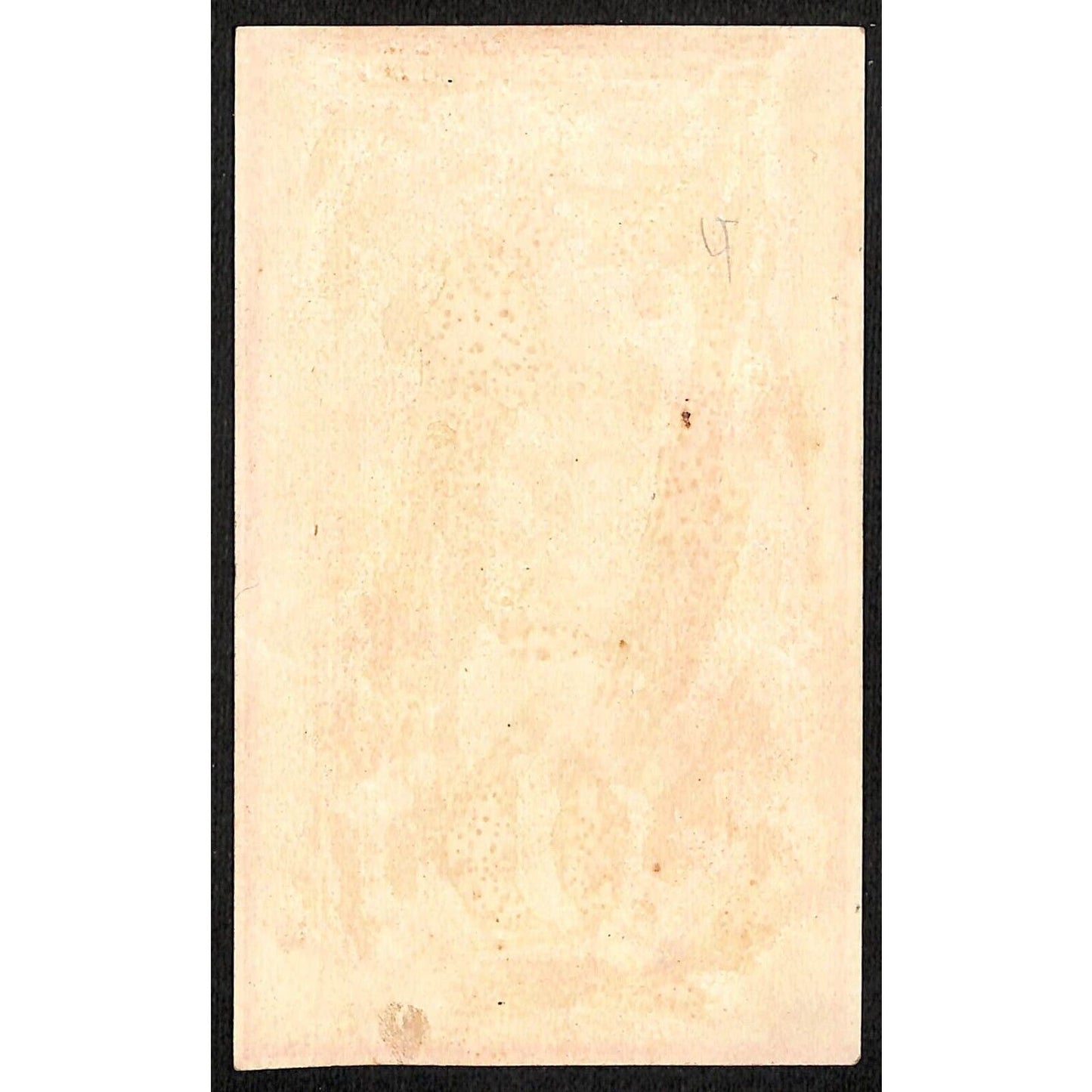Blank Victorian Trade Card w/ Gilt / Gold Ink- Owner Threatens Upset Dog ?