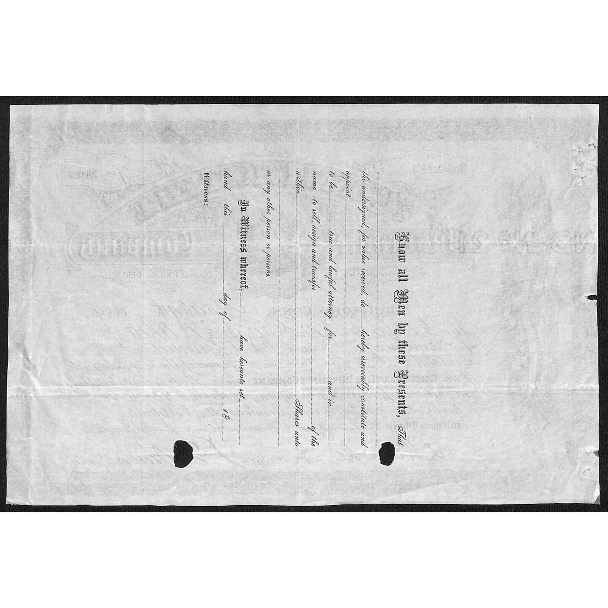 Connecticut Fire Insurance Co. 1889 Stock Certificate to Elizabeth W. White