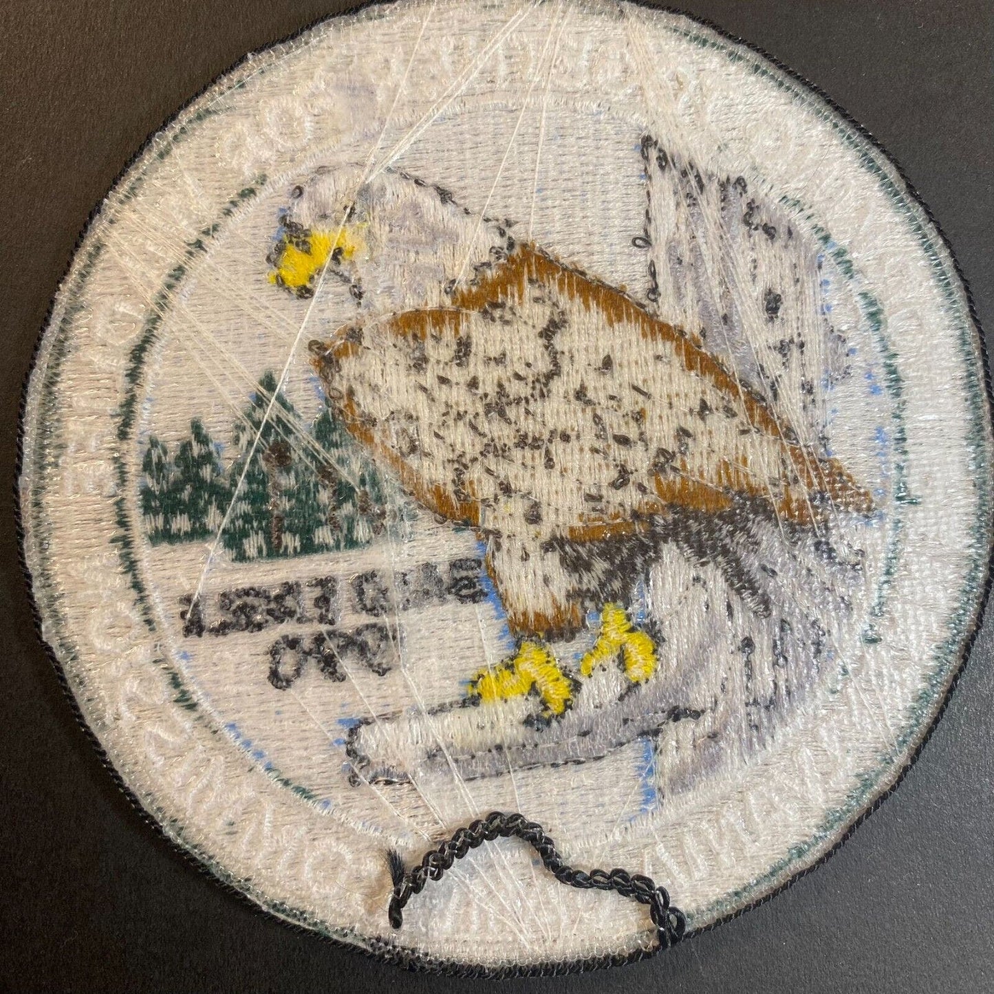 PA Game Commission Bald Eagle 1990 Wildlife Embroidered Patch 4" NOS VGC