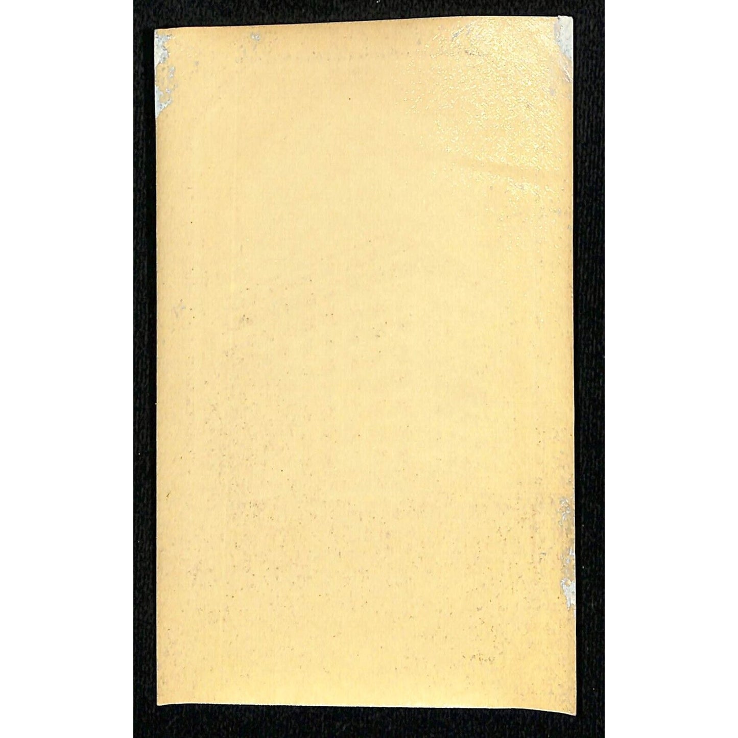 Bay View Hotel Manila / Manila Bay c1955-60's Luggage Label w/ Silver Ink (#1)