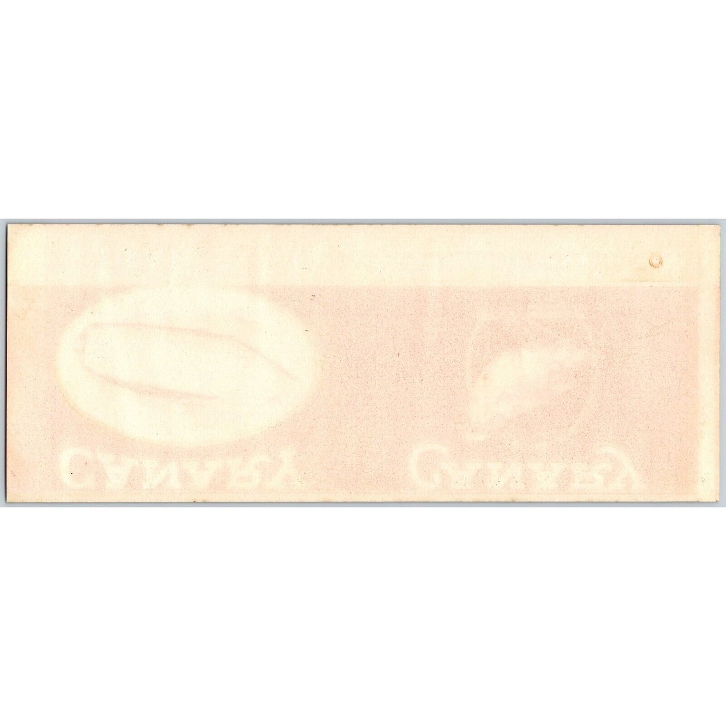 Canary Brand Sugar Corn Mason Canning Ohio Paper Can Label c1920's VGC