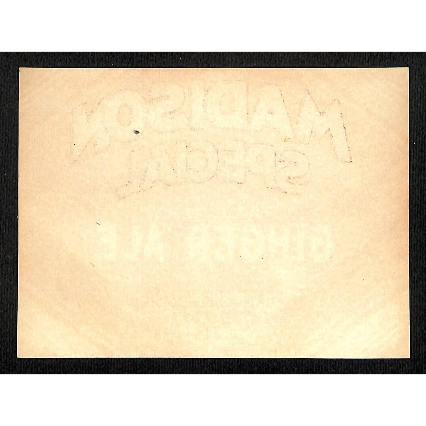Madison Special Ginger Ale Paper Label Silver Springs Co. VGC c1930's Scarce