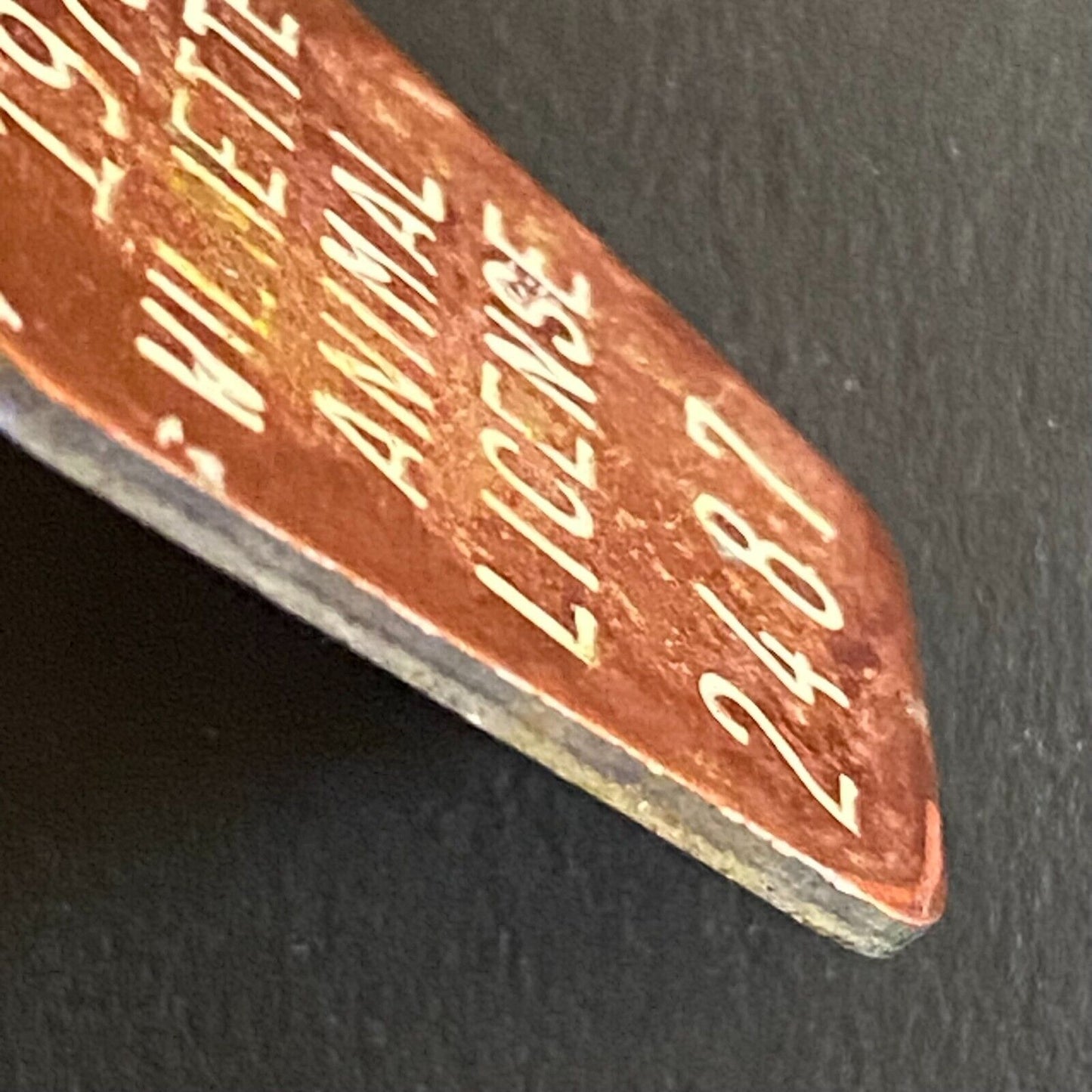 1975 Wilmette Animal License Tag #2487 Dog Aluminum