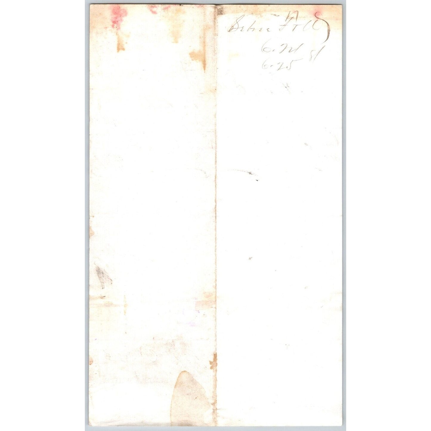 Sebree, Ferris & White Bankers Dillon, MT 6/24 1881 Statement Henry Elling*