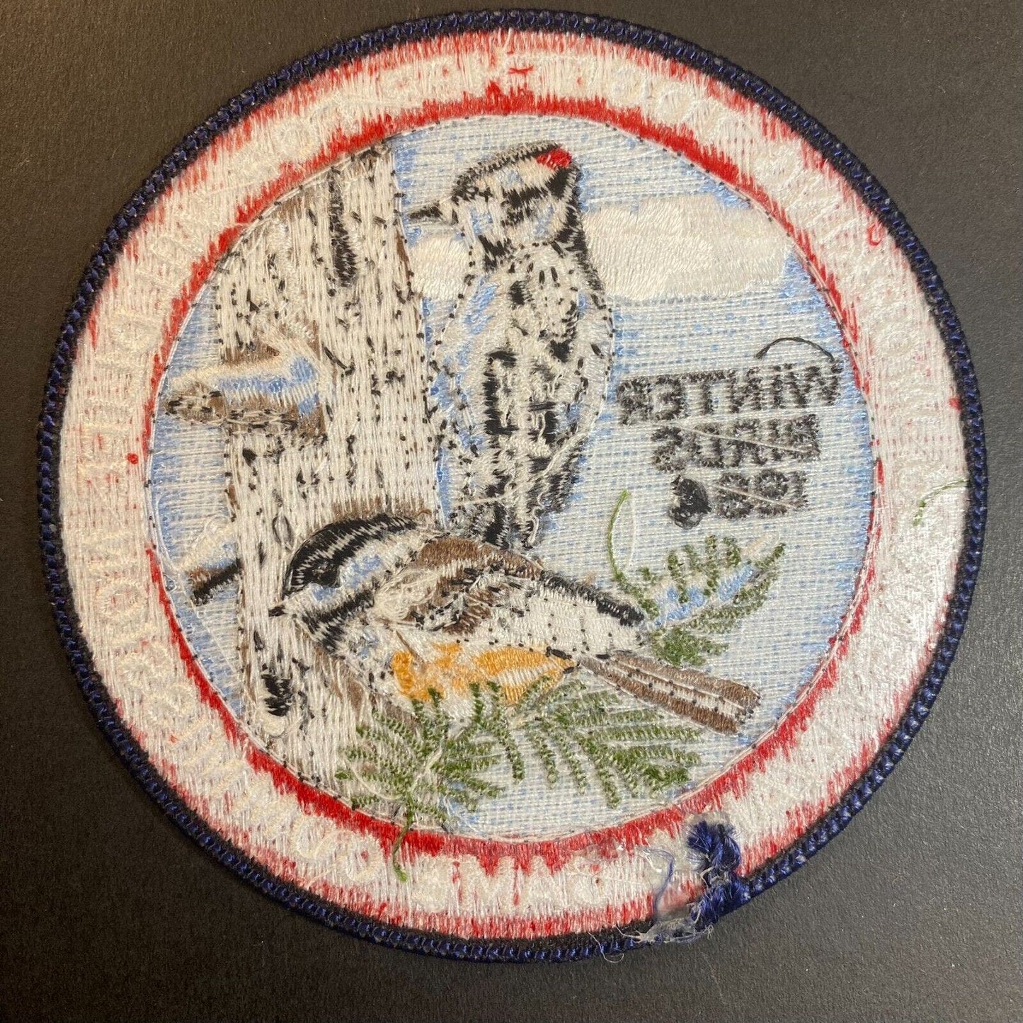 PA Game Commission Winter Birds 1994 Wildlife Embroidered Patch 4" NOS VGC