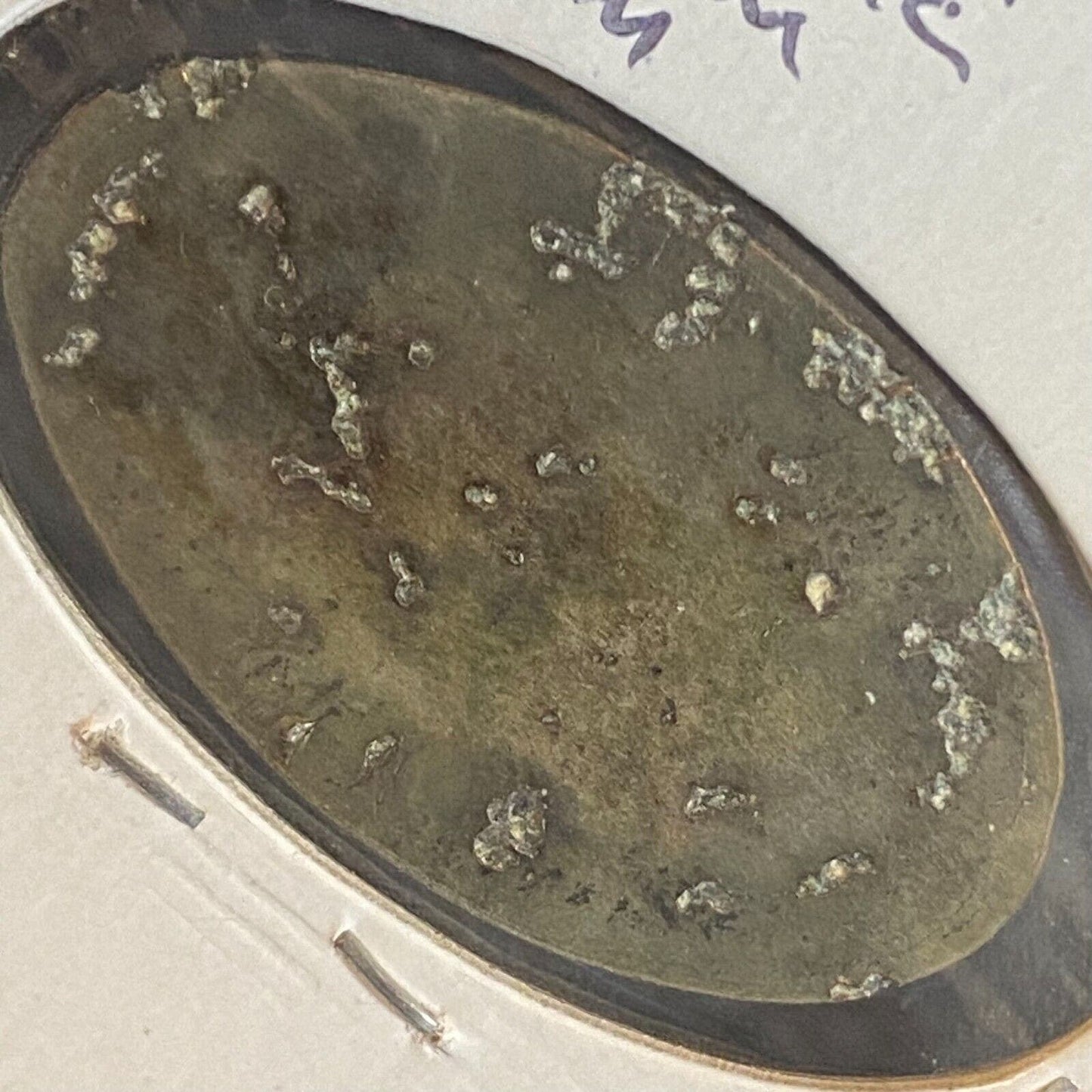 George C. Page Museum Los Angeles Elongated Penny Souvenir Scarce Dinosaur