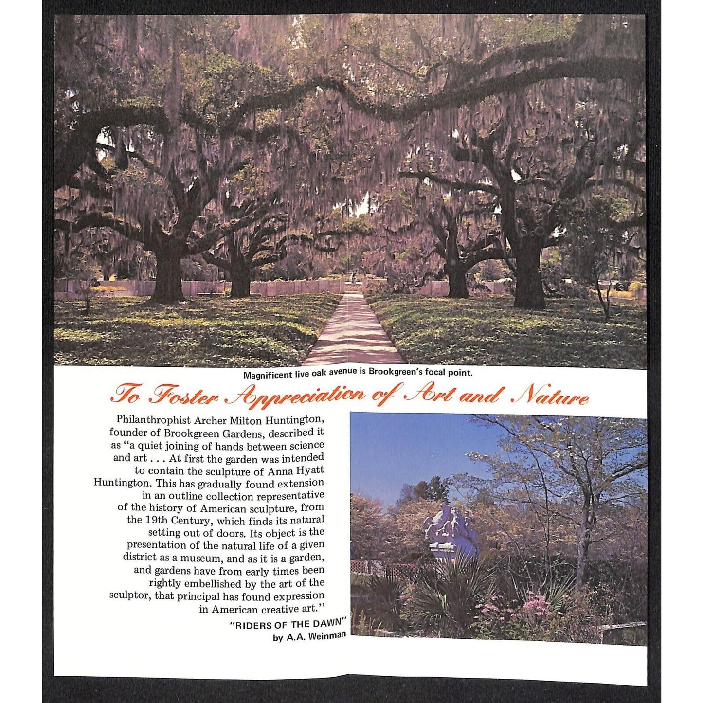 Brookgreen Gardens Murrells Inlet, SC c1970 Travel Brochure VGC