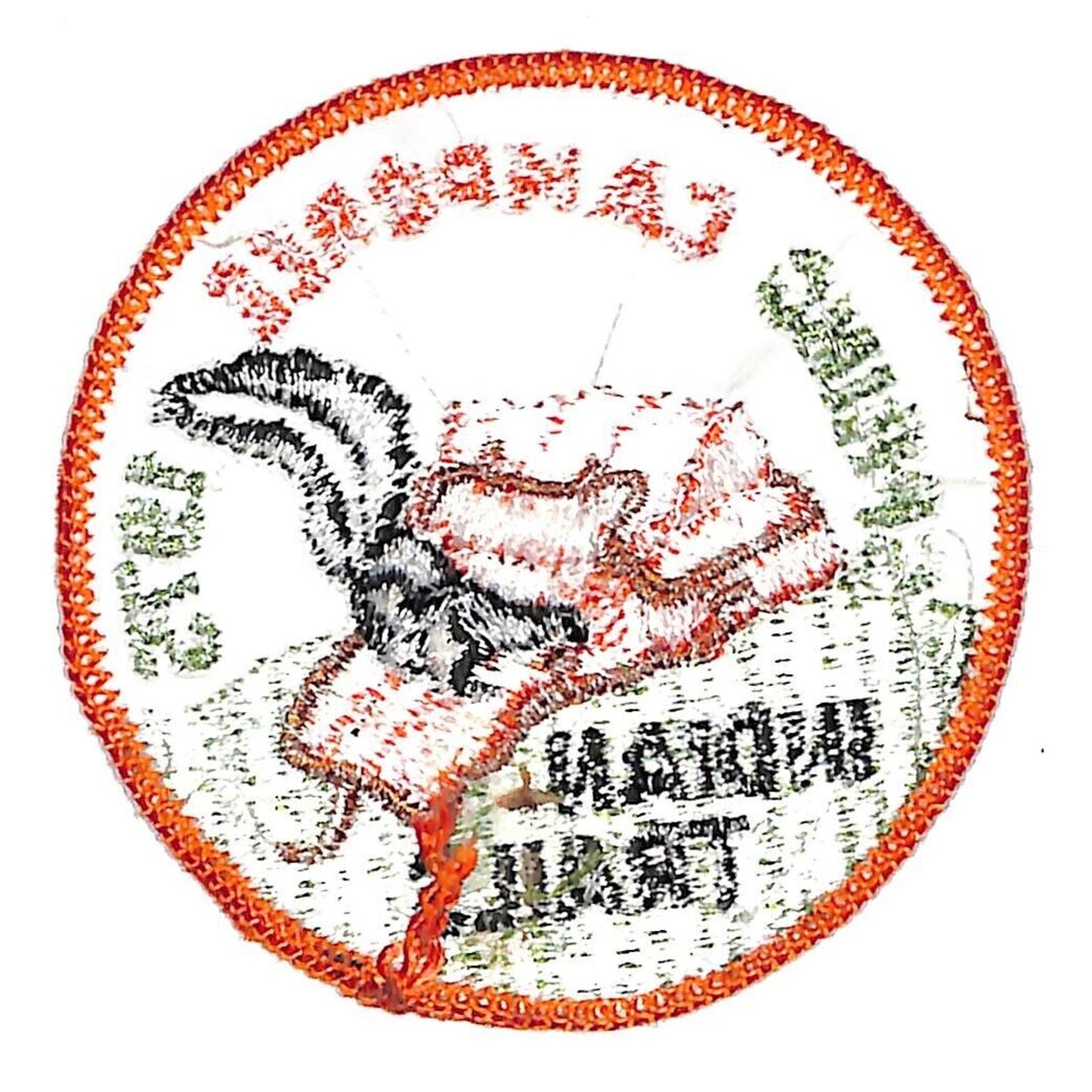 Boy Scouts BSA 1975 Indian Trails Spring Camporee Skunk Patch Scarce