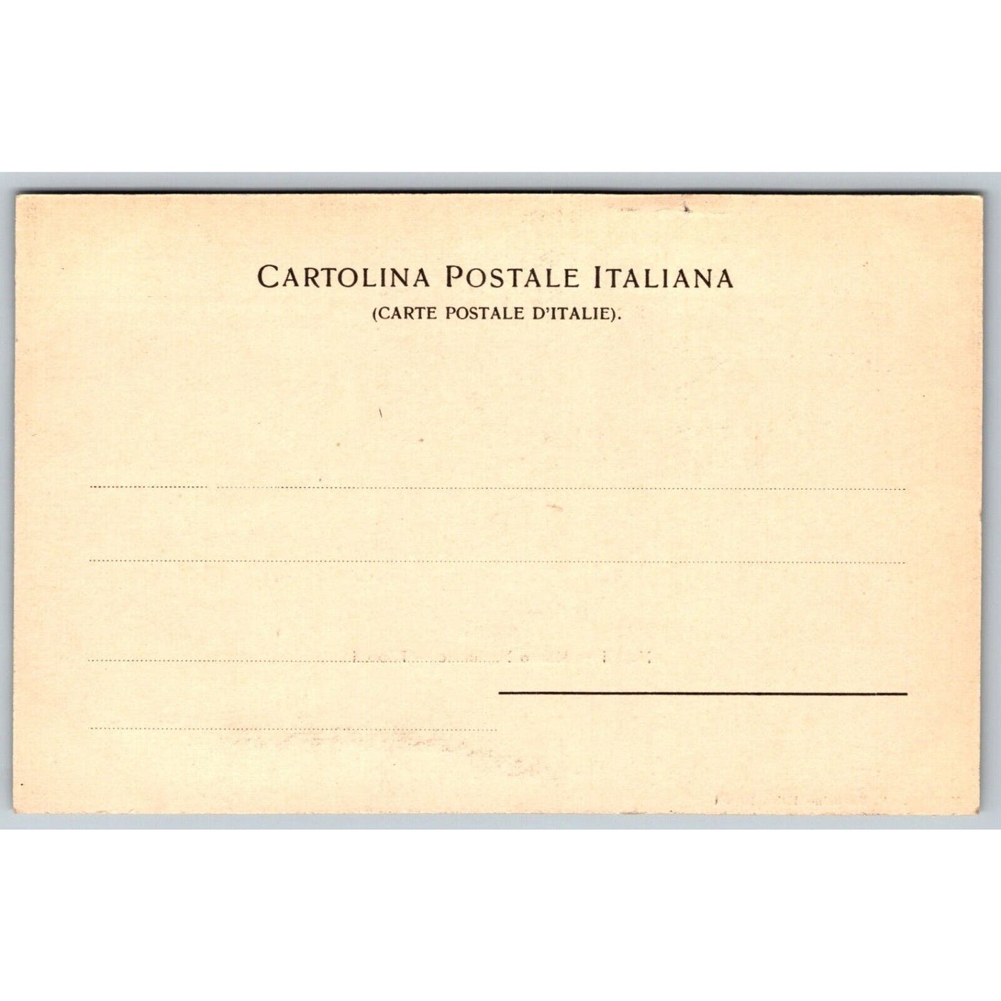 Naples Notional Museum Philosophy Bust Sculptures Postcard c1901-1907 NP