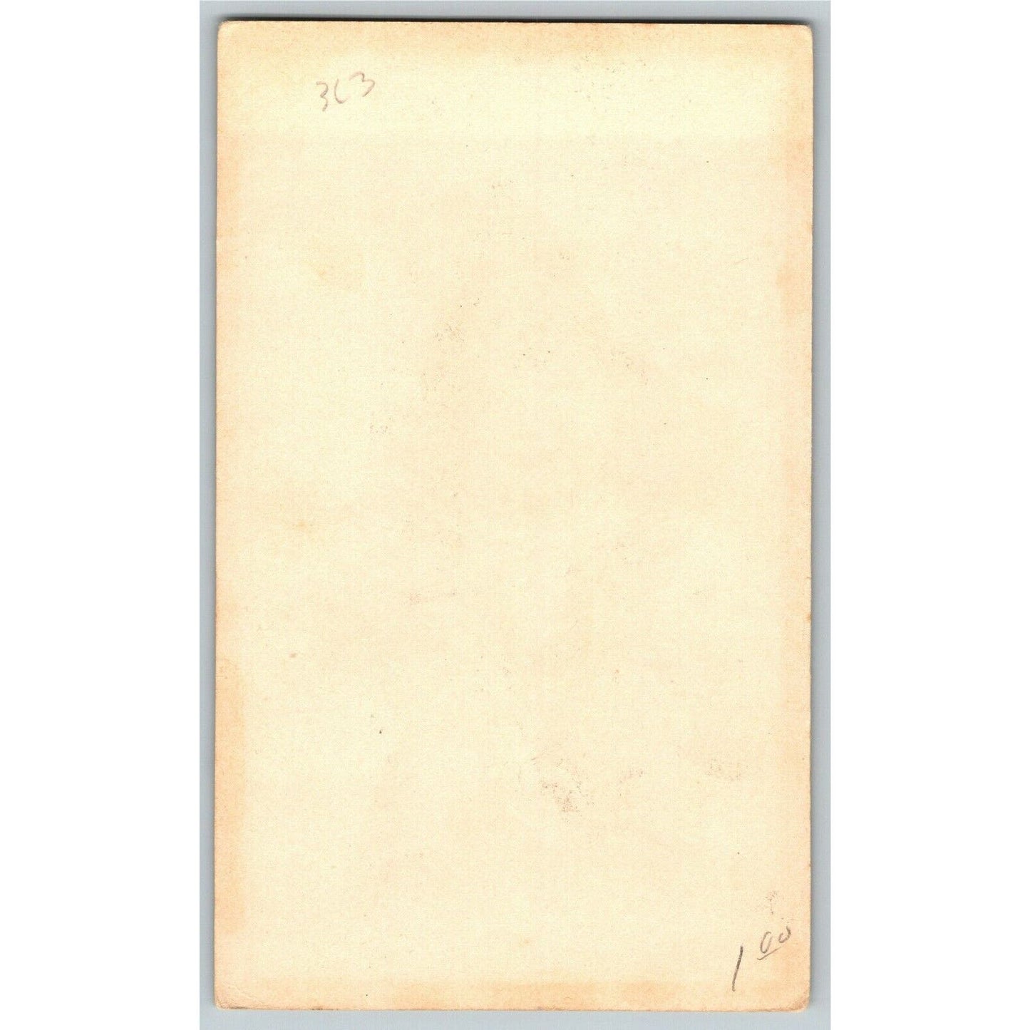 Girl in Dress w/Hat Holding Rabbits - Unmarked Blank Victorian Trade Card