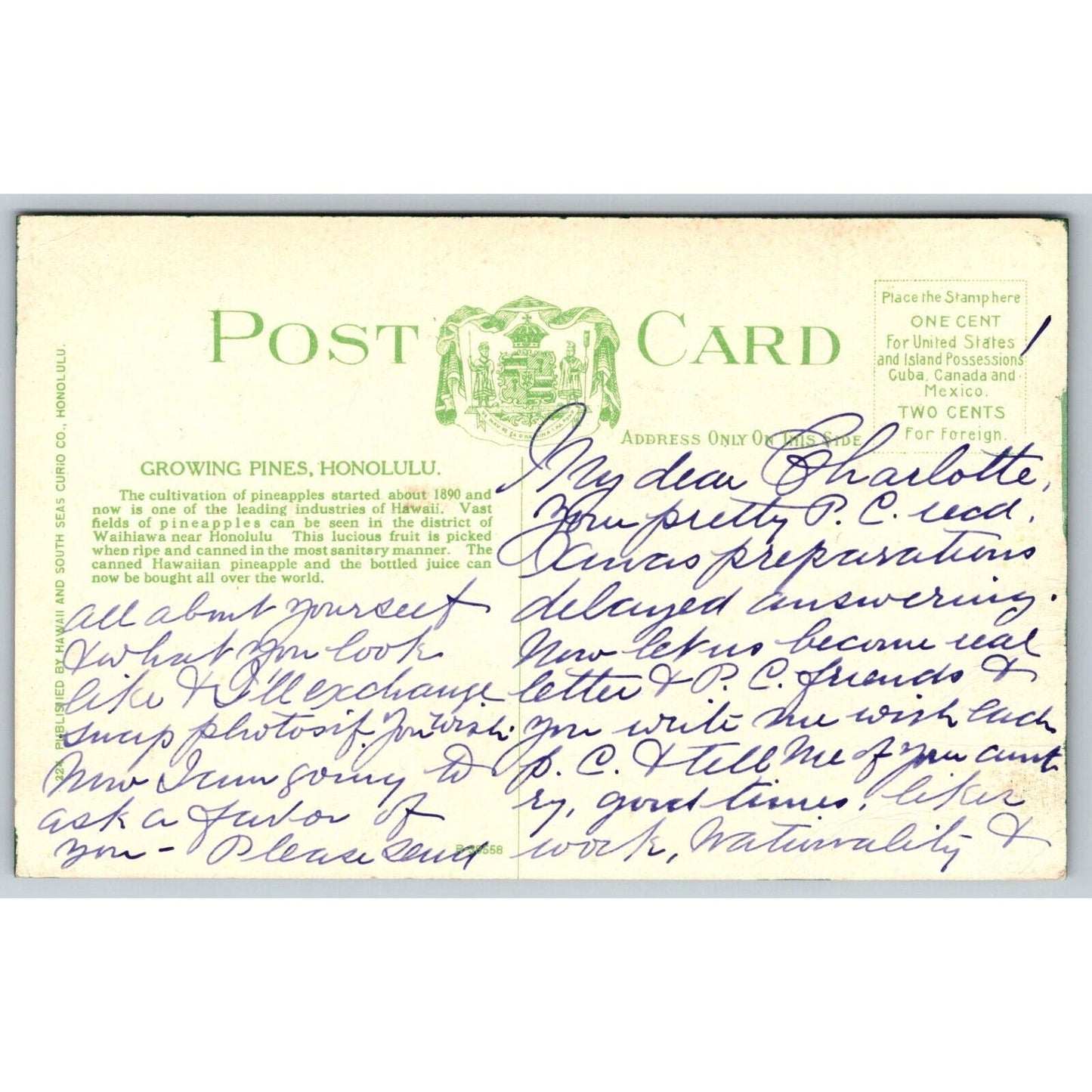 Hawaiian Pineapple Co. "Growing Pines" Advertising Postcard c1910's VGC