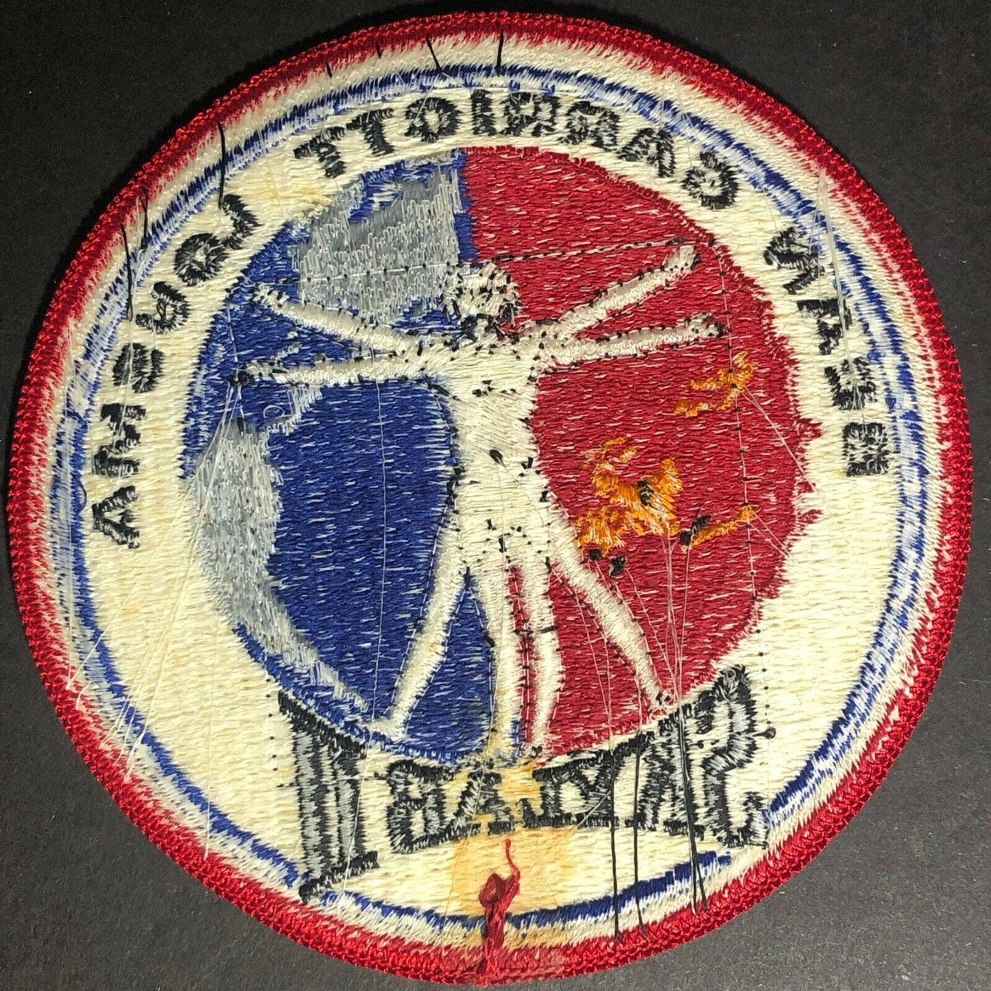Vintage NASA Skylab II 2 Sean Garriott Lousma Embroidered Patch