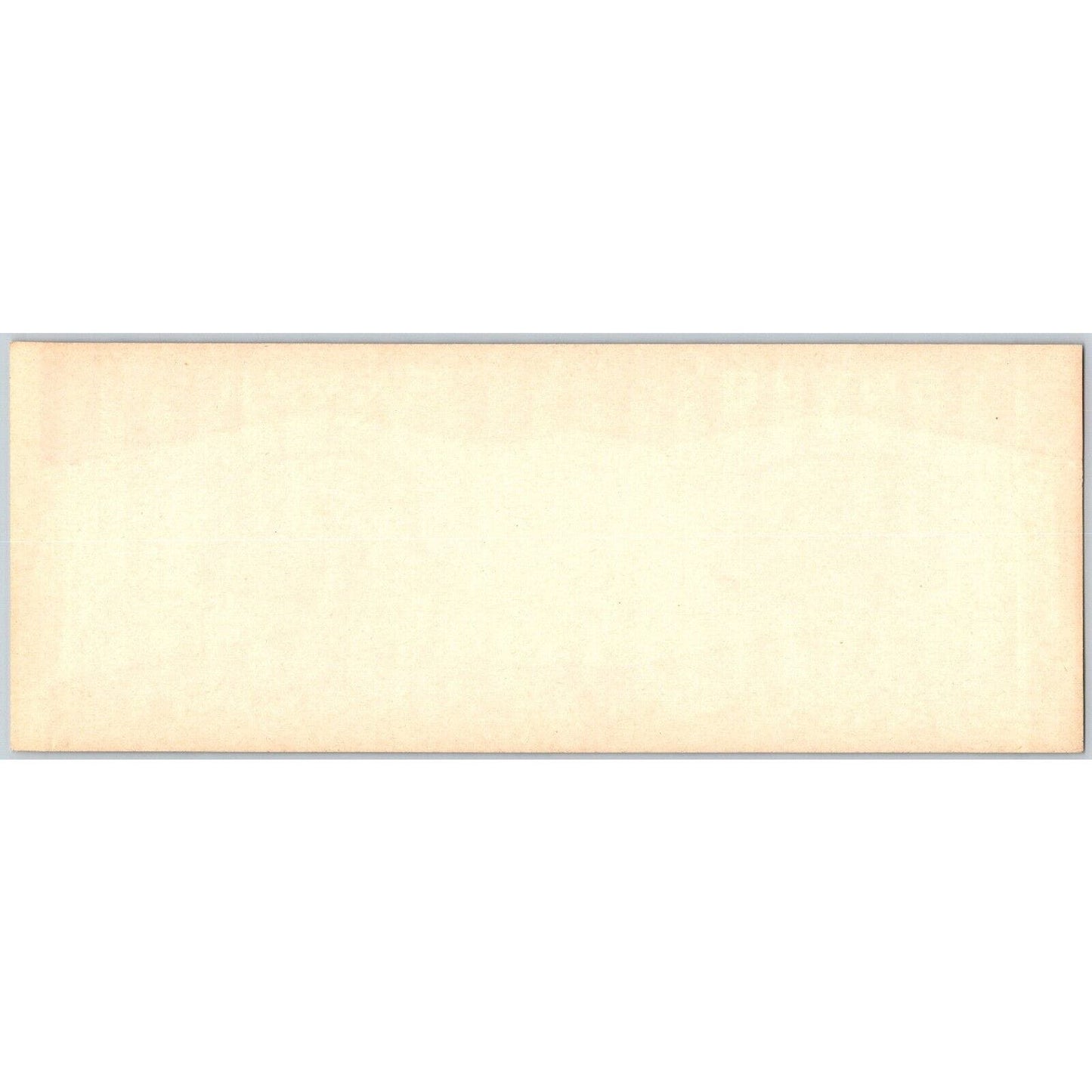 Spring Maid Beans Paper Can Label Eddington Canning Springville, UT c1930-35 VGC