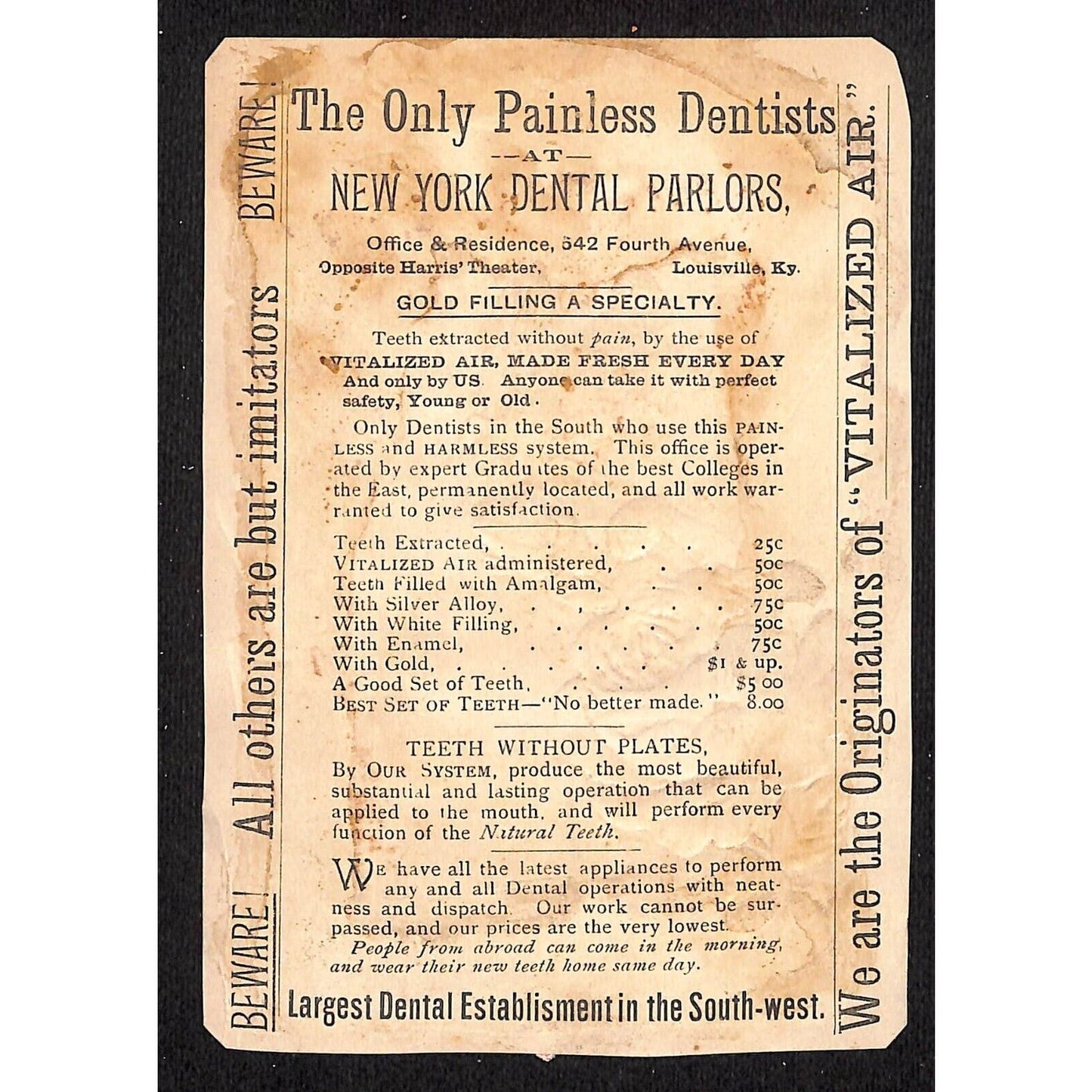 New York Dental Parlors Louisville KY Victorian Trade Card Church Winter Birds