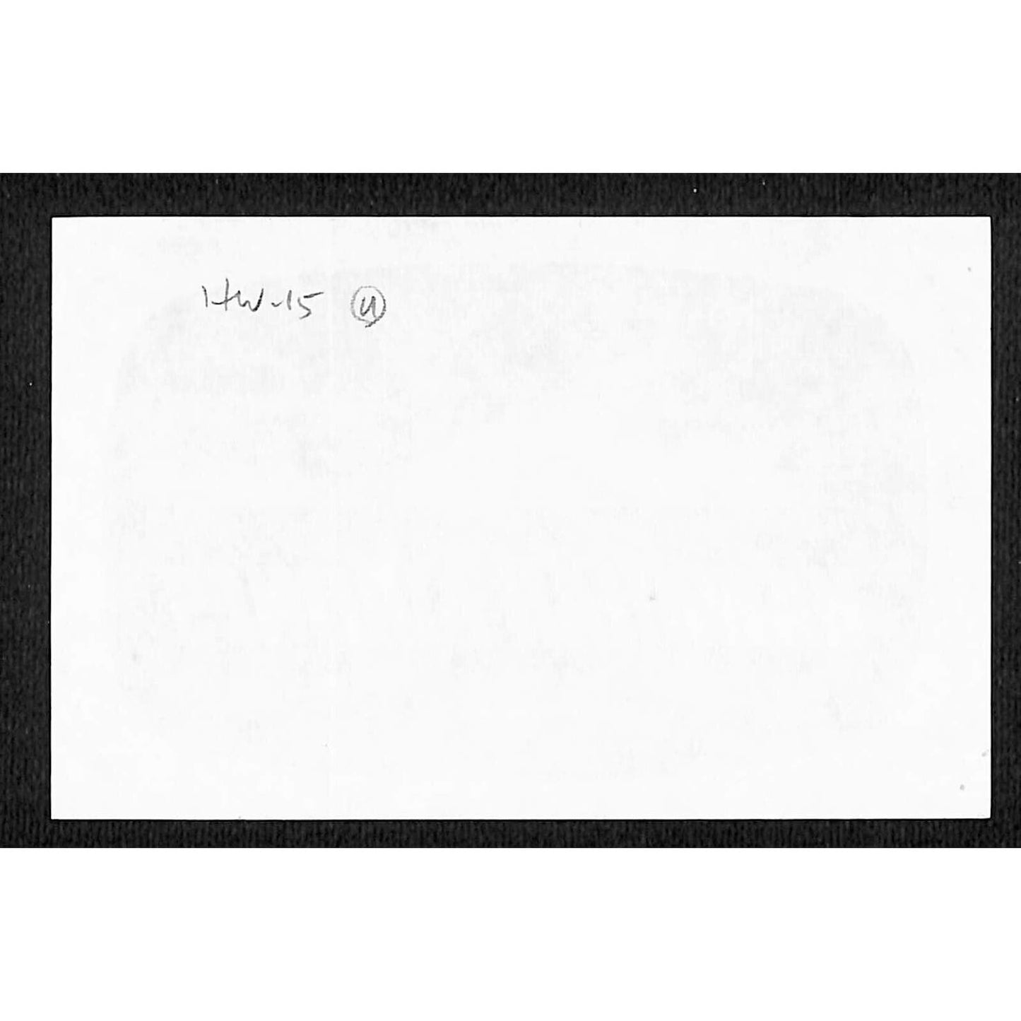 Hawaiian Airline (No Gum) Airline Label 2 3/4" x 4 1/2"