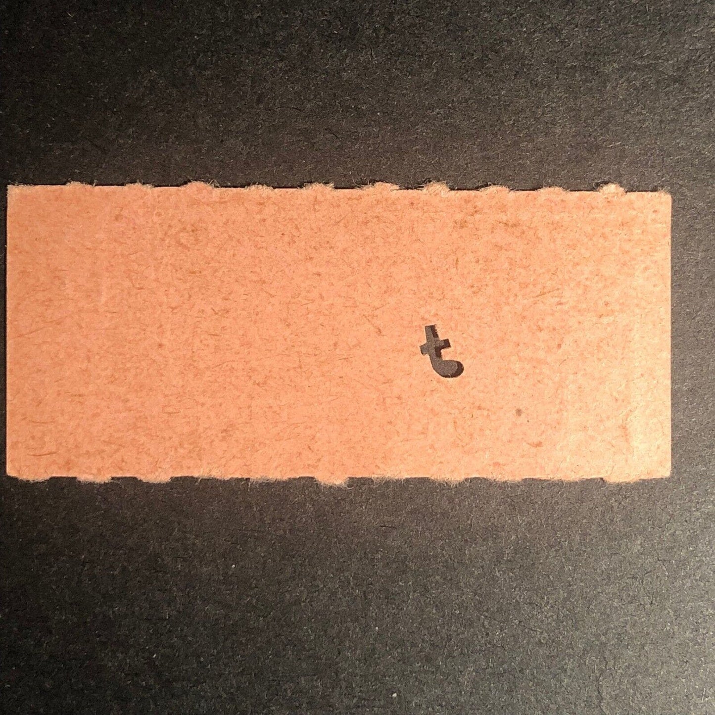 Elmira Water, Light & Railroad Co. Exchange Ticket Coupon #00331