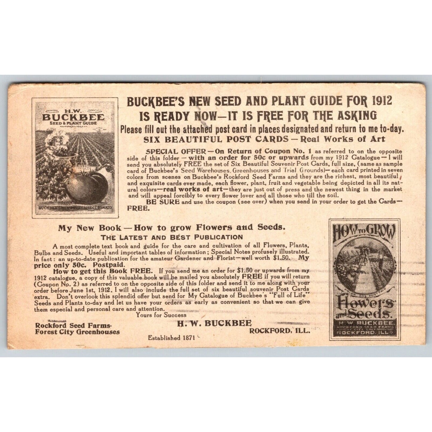 Buckbee's Seed Warehouses Greenhouses Rockford Advertising Trade Card c1912