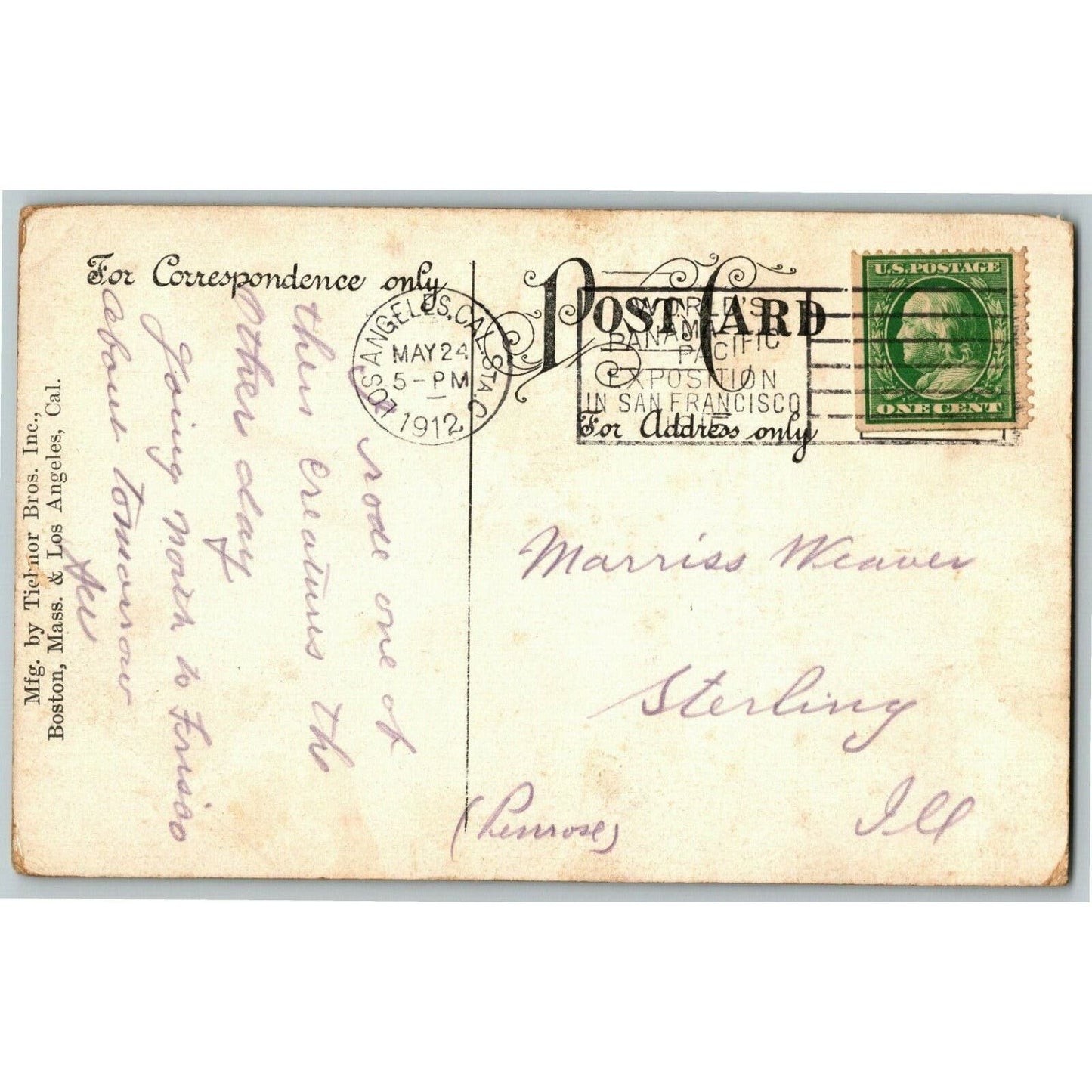 Vintage c1912 PPC Postcard - Seven Month's Chicks - Ostrich Farm, South Pasadena