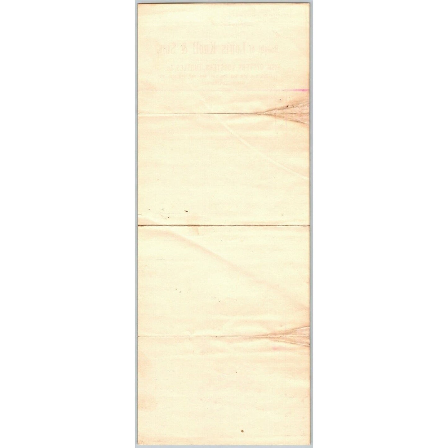 Louis Knoll & Son 1909 LONG Letterhead NY, NY Fish Oysters Turtles Lobsters