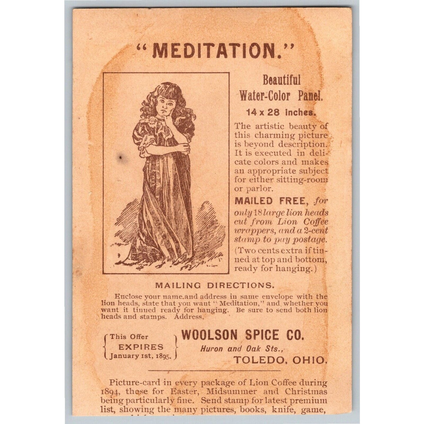 Kids Play Hide and Seek w/ Curtain Victorian Trade Card Woolson Spice - Trimmed