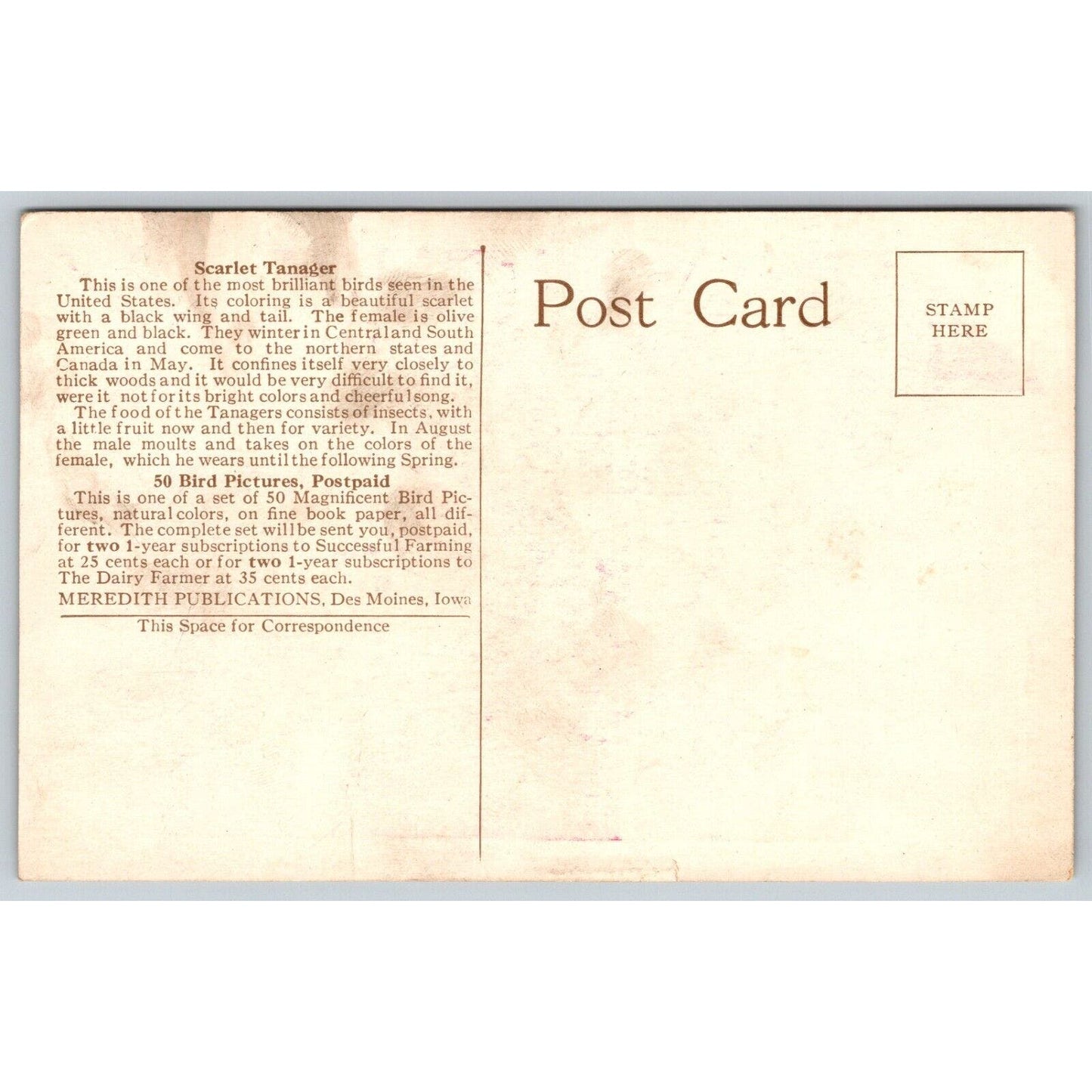 Meredith Publications Scarlet Tanager Mail Order Advertising Postcard c1920's