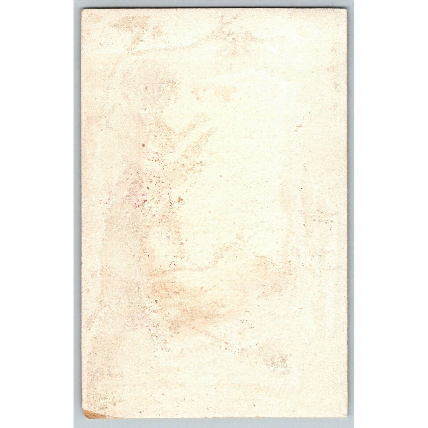 Blank Gilt Victorian Trade Card - Boy Standing on Branch W/ Birds While Reading