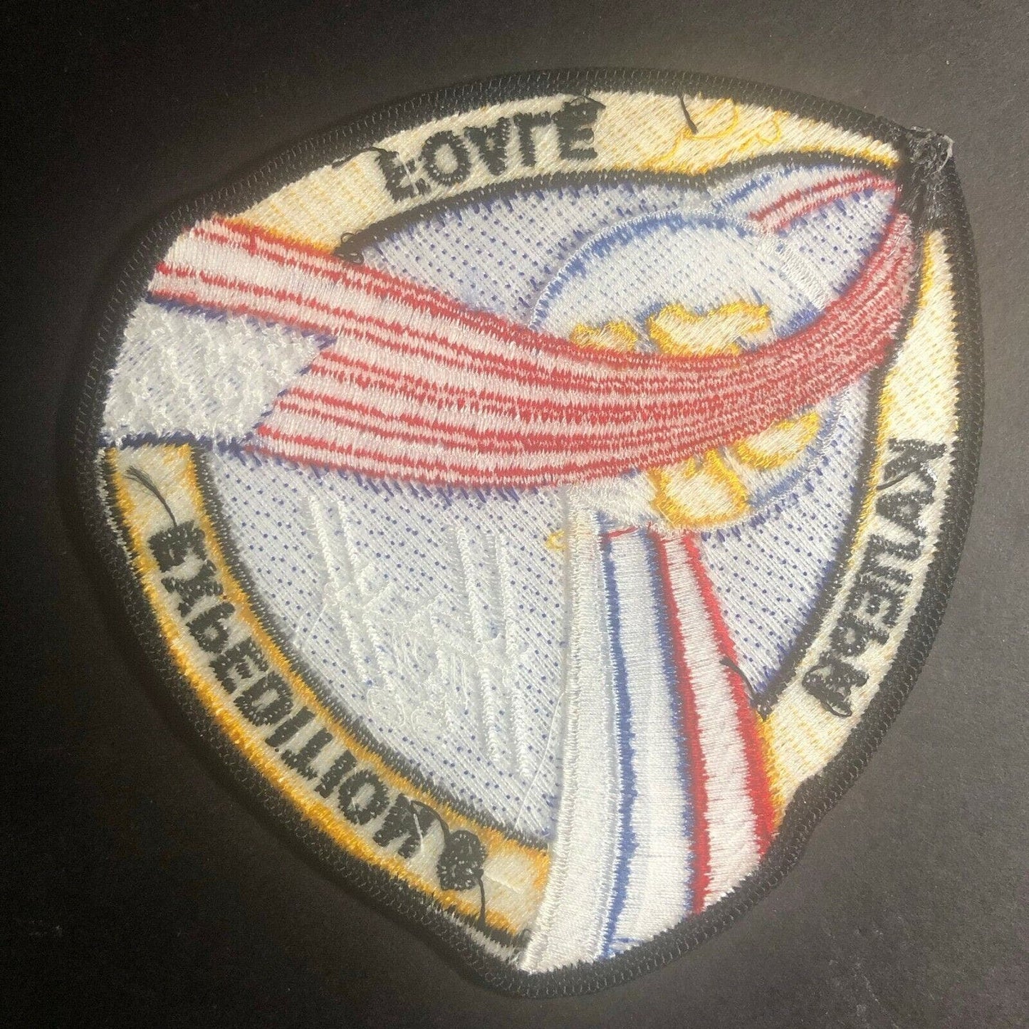 Vintage NASA Space Shuttle Expedition 8 Embroidered Patch