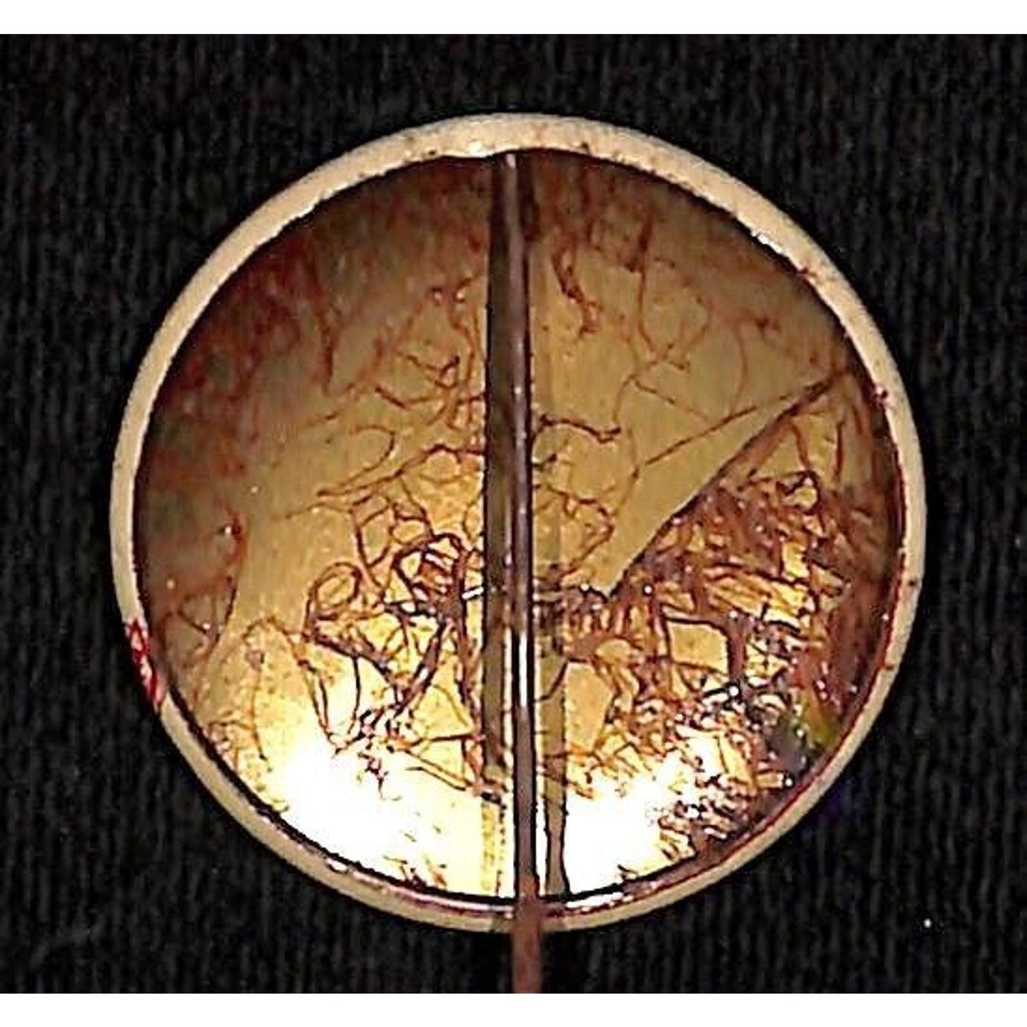 600 GO in '65 Steel Pinback Button 1966 - AM Radio?