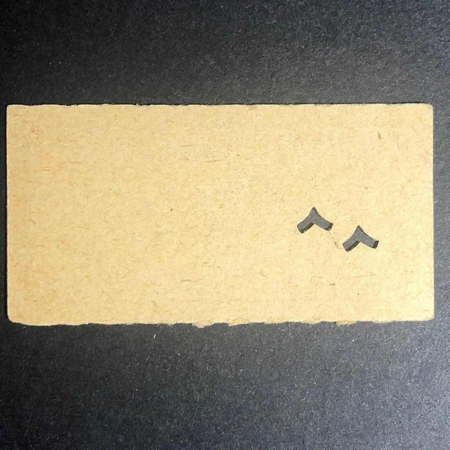 Puget Sound Power & Light Co. Employee's Free Ticket / Stub c1919-19?? Scarce