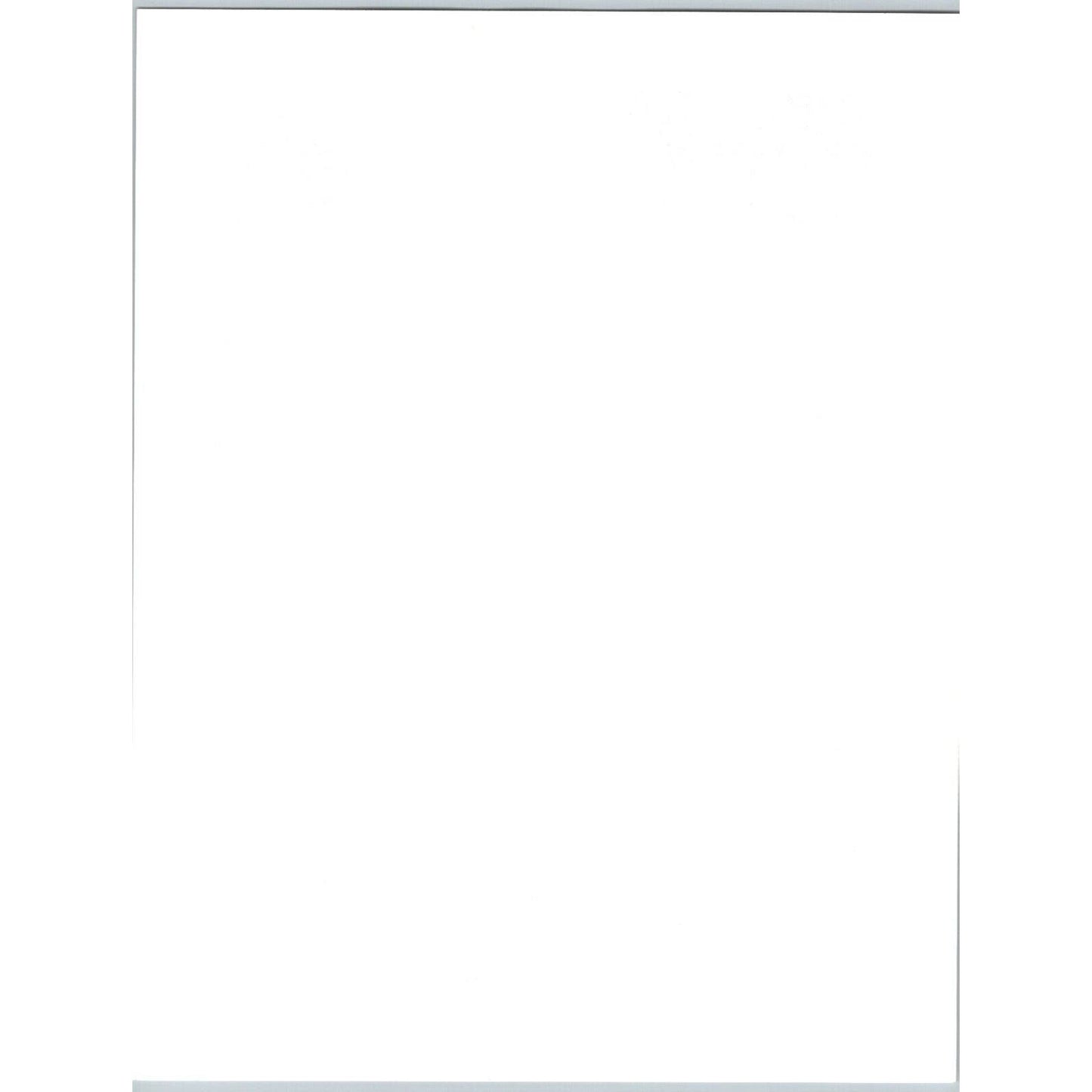 Vidbel's Old Tyme Circus Letterhead c1986-90's Elephants Scarce