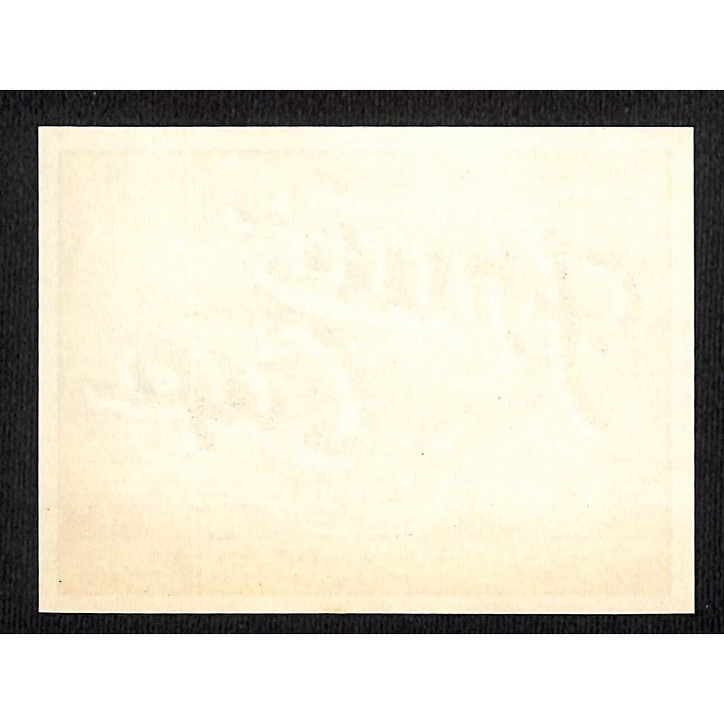 Sanitary Bottling Works "Fruit Cup" Indiana Harbor, IN Paper Soda Label c1930's