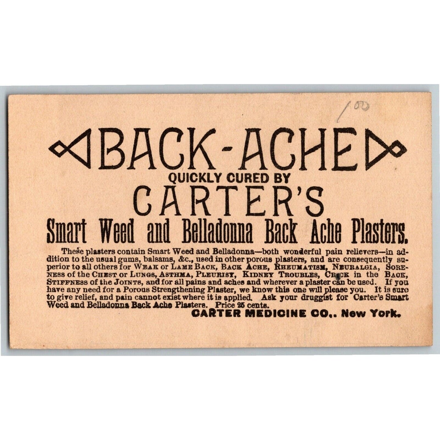 Carter's Backache Plasters Outdoor Find Animal Puzzle Game Victorian Trade Card