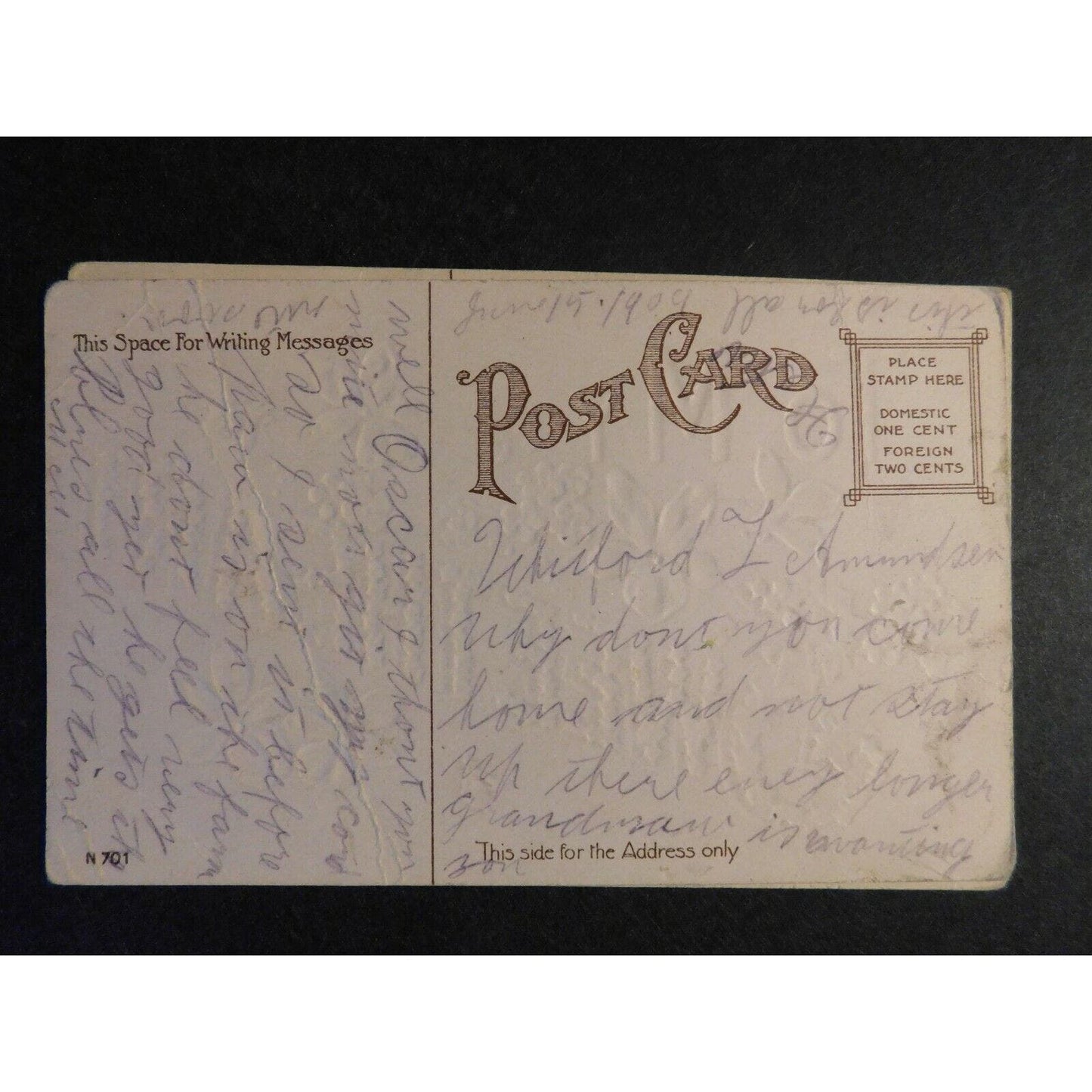 Vintage Postcard - Reverse Embossed "To My Pet" Floral / Gilt