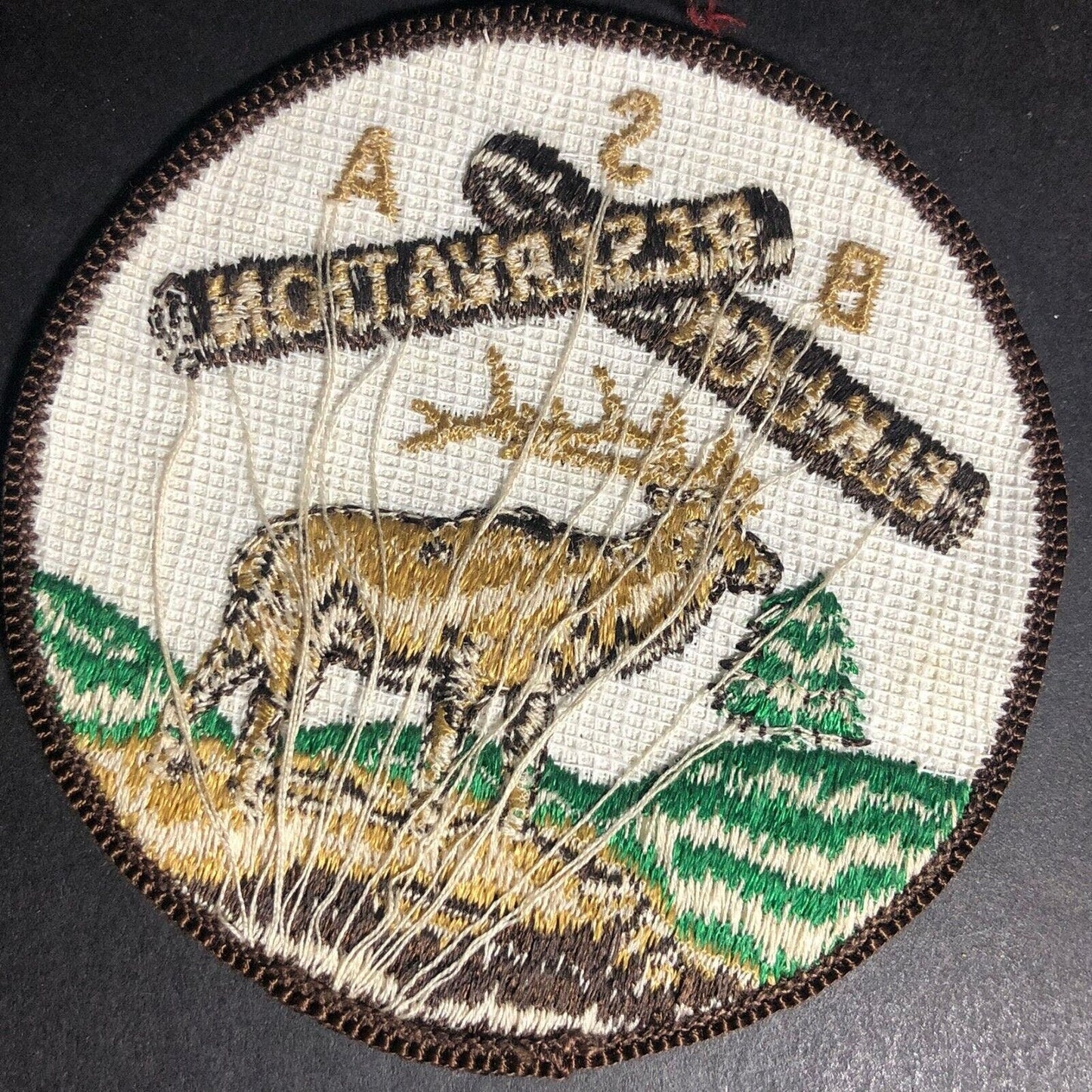BSA Elk Lick Reservation Vintage Embroidered Patch - c1970's Scarce