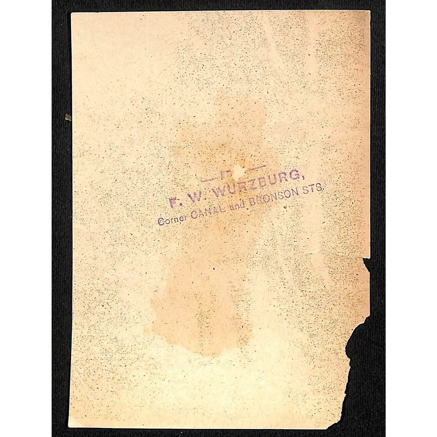 F.W. Wurzburg (Dept. Store Grand Rapids, MI) Victorian Trade Card Bird Watching