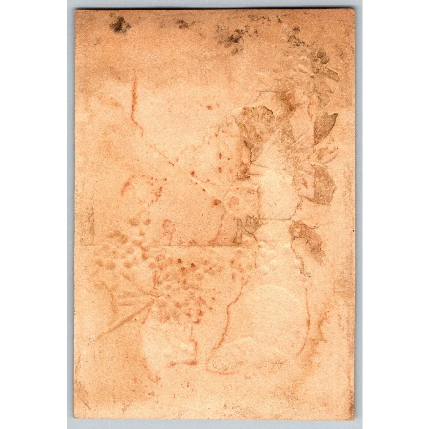 Embossed Victorian Trade Card Blank w/ no Company Name Floral Home Scene