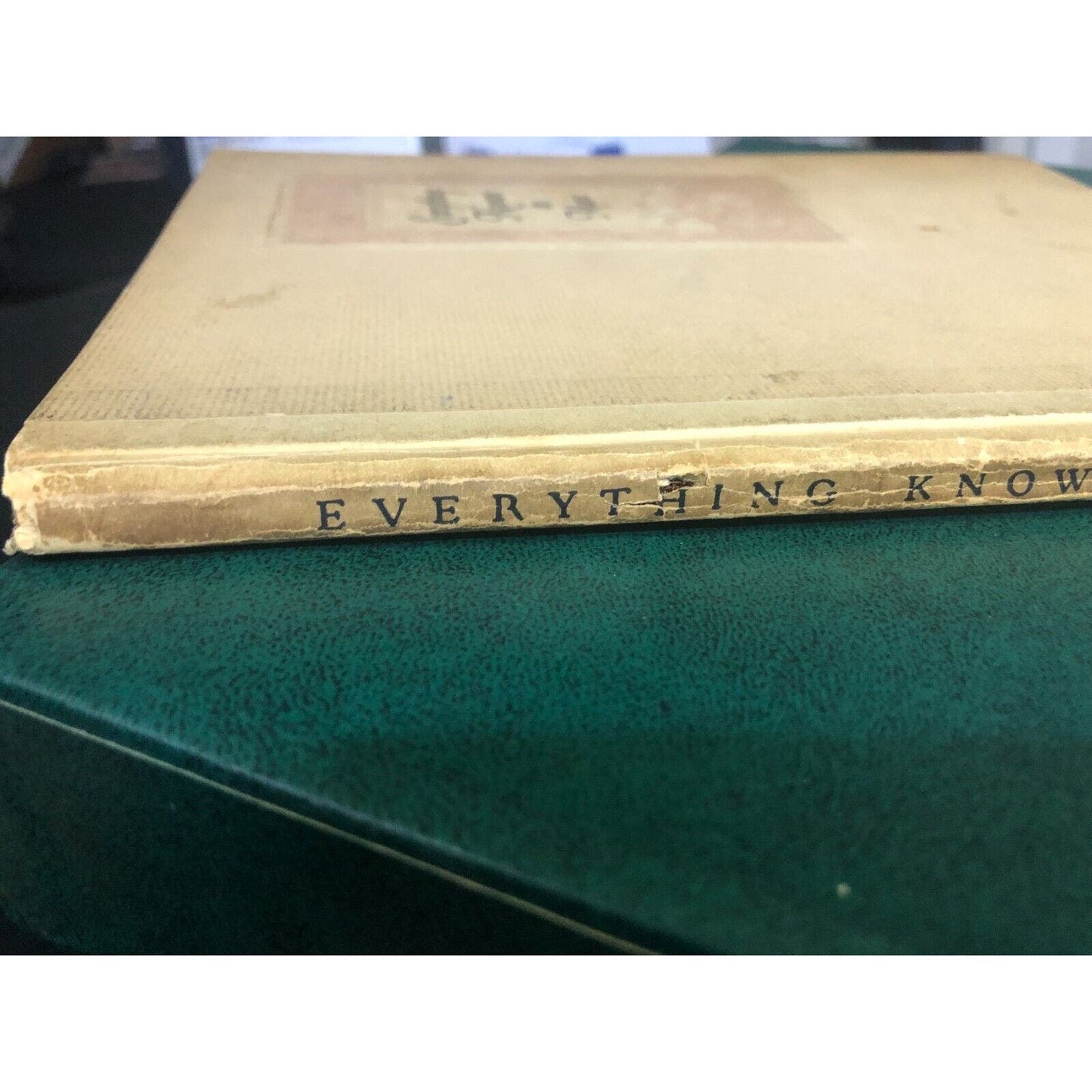 Lyon & Healy Robert Blum "Everything Known in Music" 1916 HC 60pp VGC Scarce