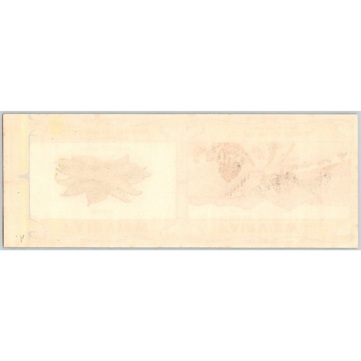 Fairview Cranberry Beans Paper Can Label Norridgewock, Maine c1915 VGC