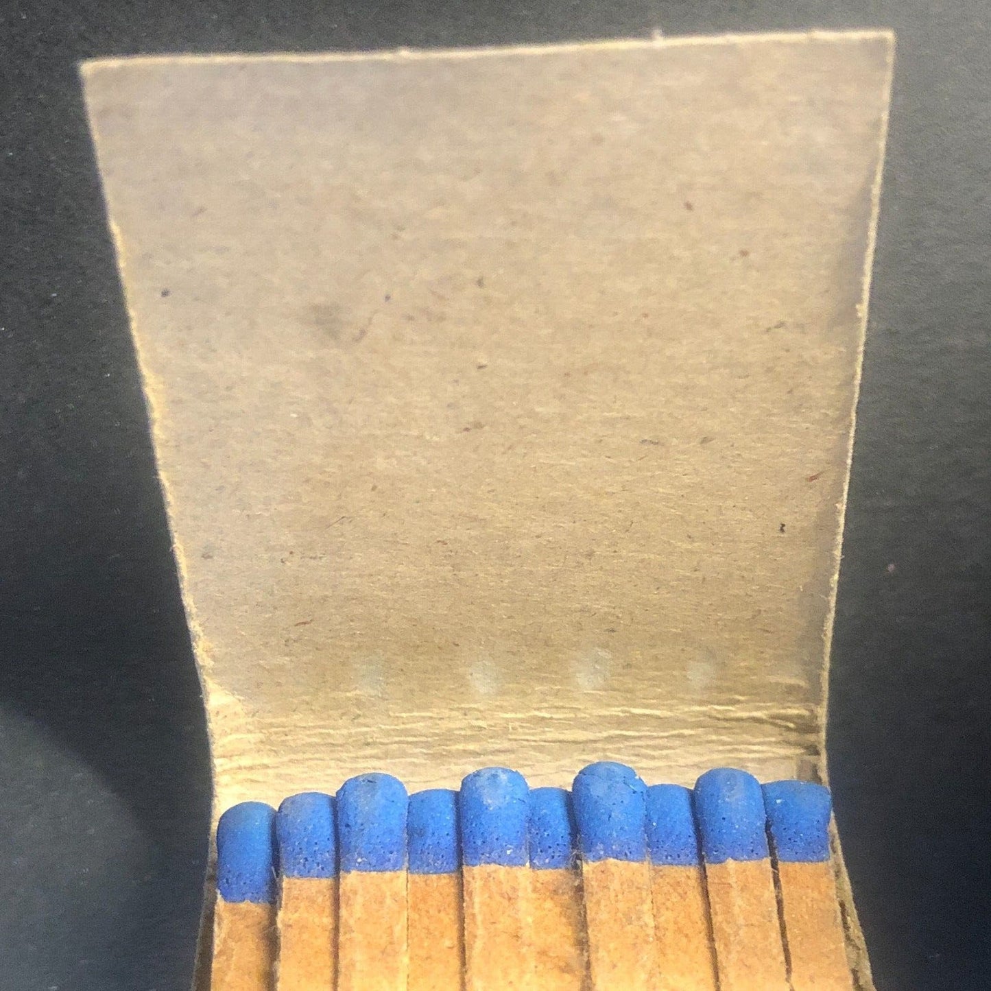 Hotel Vendome Evansville, IN Pep III Boston Terrier Dog Matchbook c1940's-50's