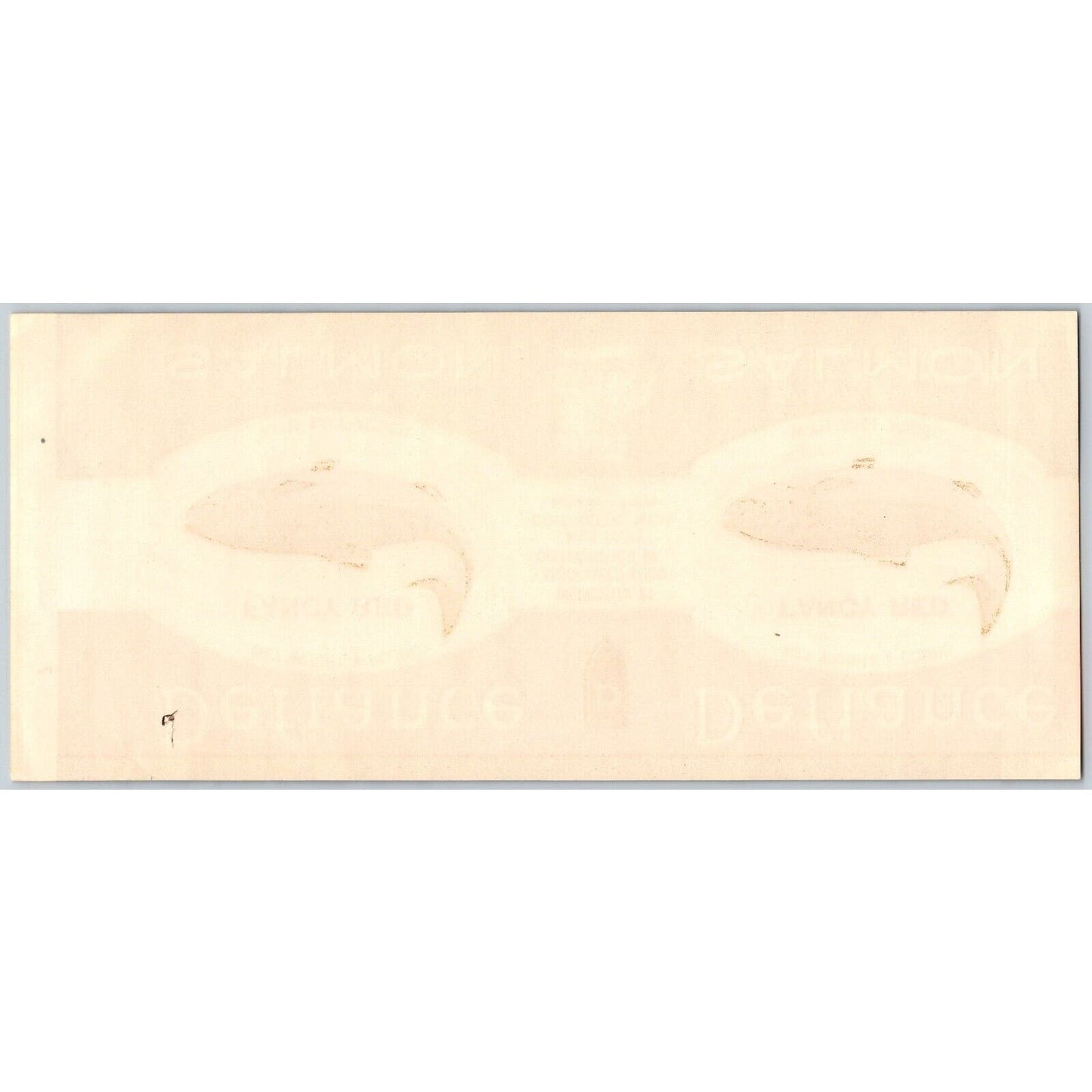 Defiance Alaska Salmon Paper Can Label Coldwater, MI c1920's Scarce