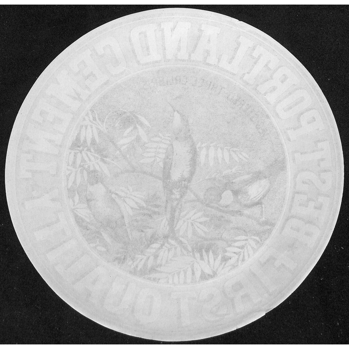 Very Scarce "Three Colibris" Best Portland Cement Paper Label 12" Dia.