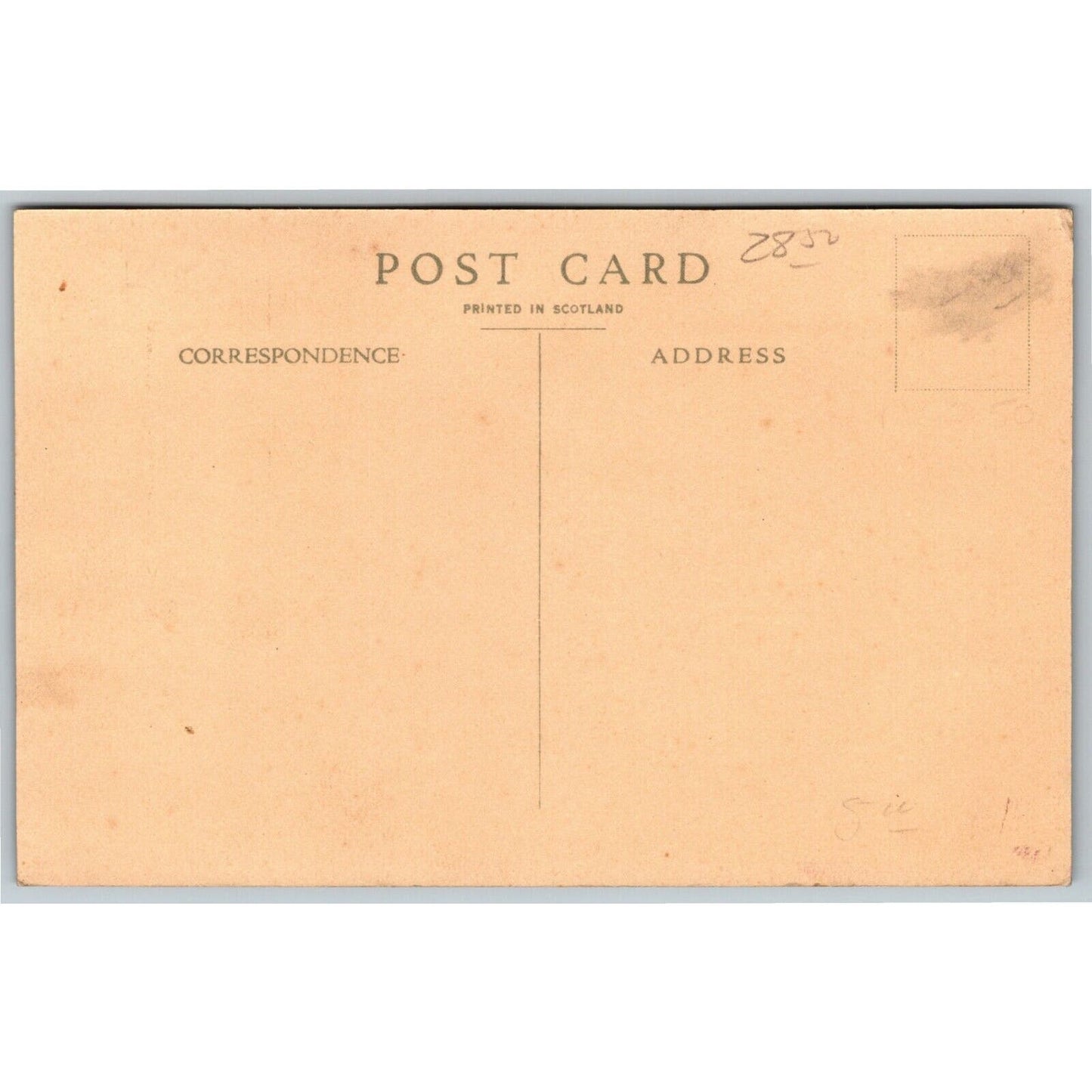 Scarce Hollywood Bowl California Postcard Easter Egg Hunt Before Service c1920's