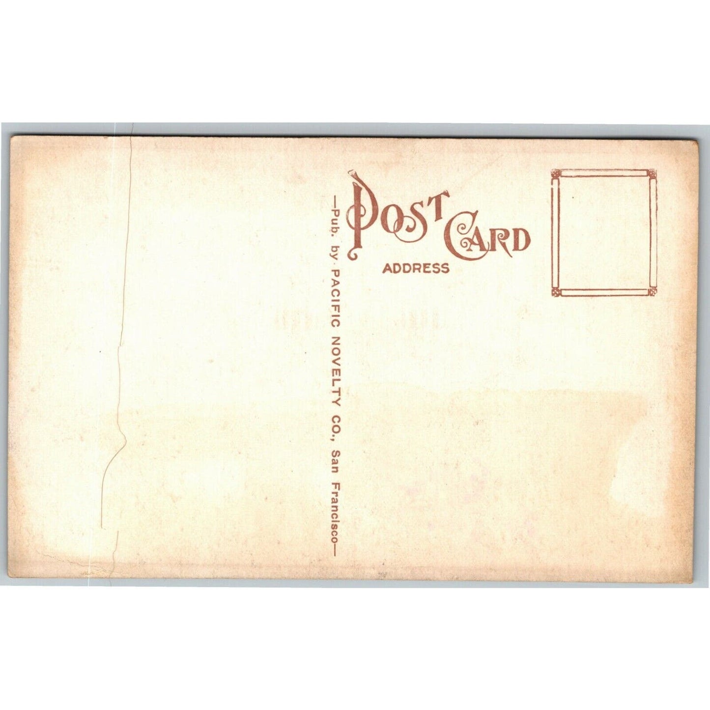 Vintage PPC Postcard --- Pampas Grass, Kearney Ave, Fresno, Cal"